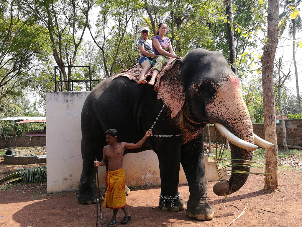 Затерянный храм, дворцы и замки Индии, пляжный отдых в Керале (24/28)