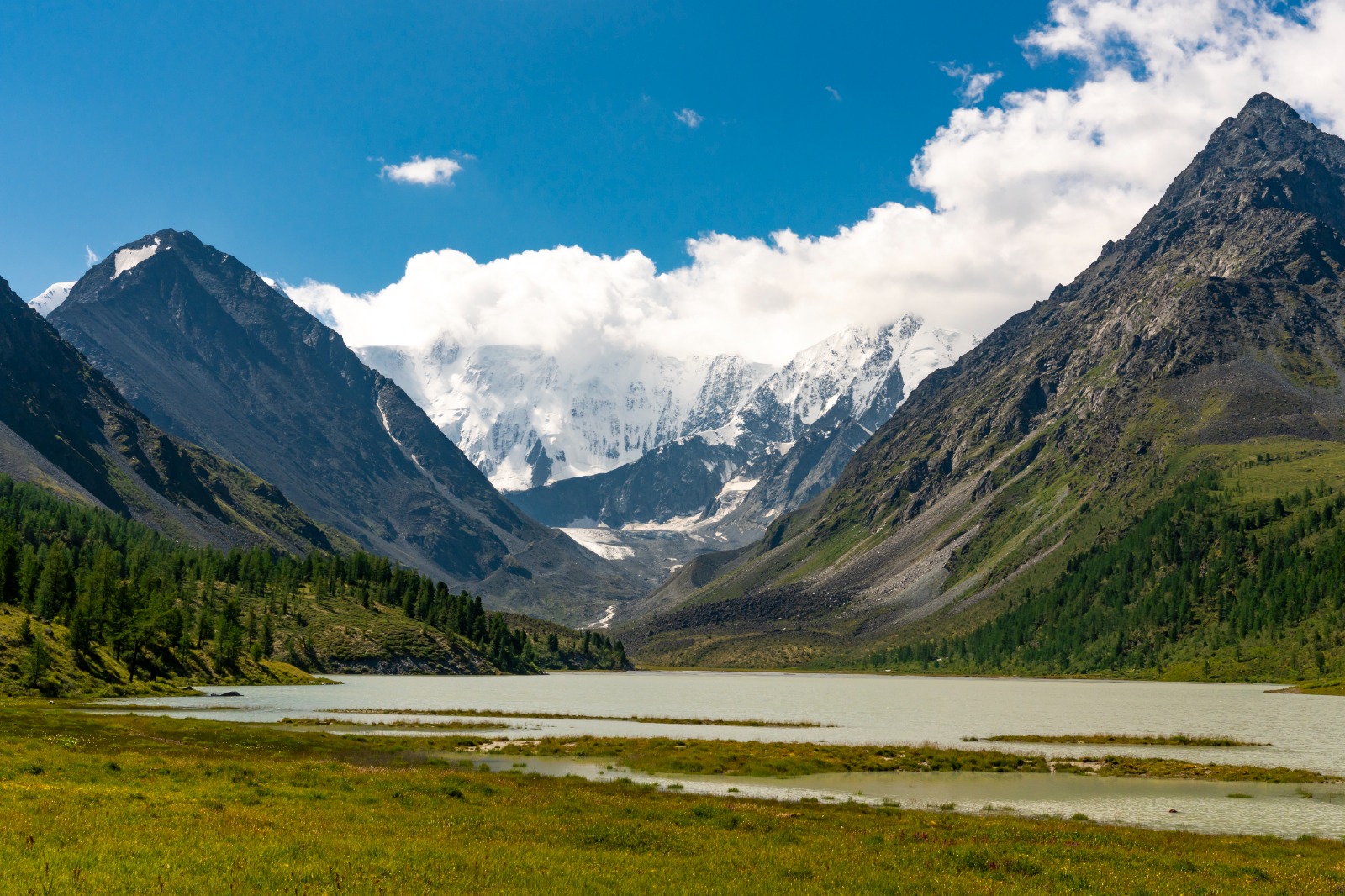 К подножью Белухи (15/31)