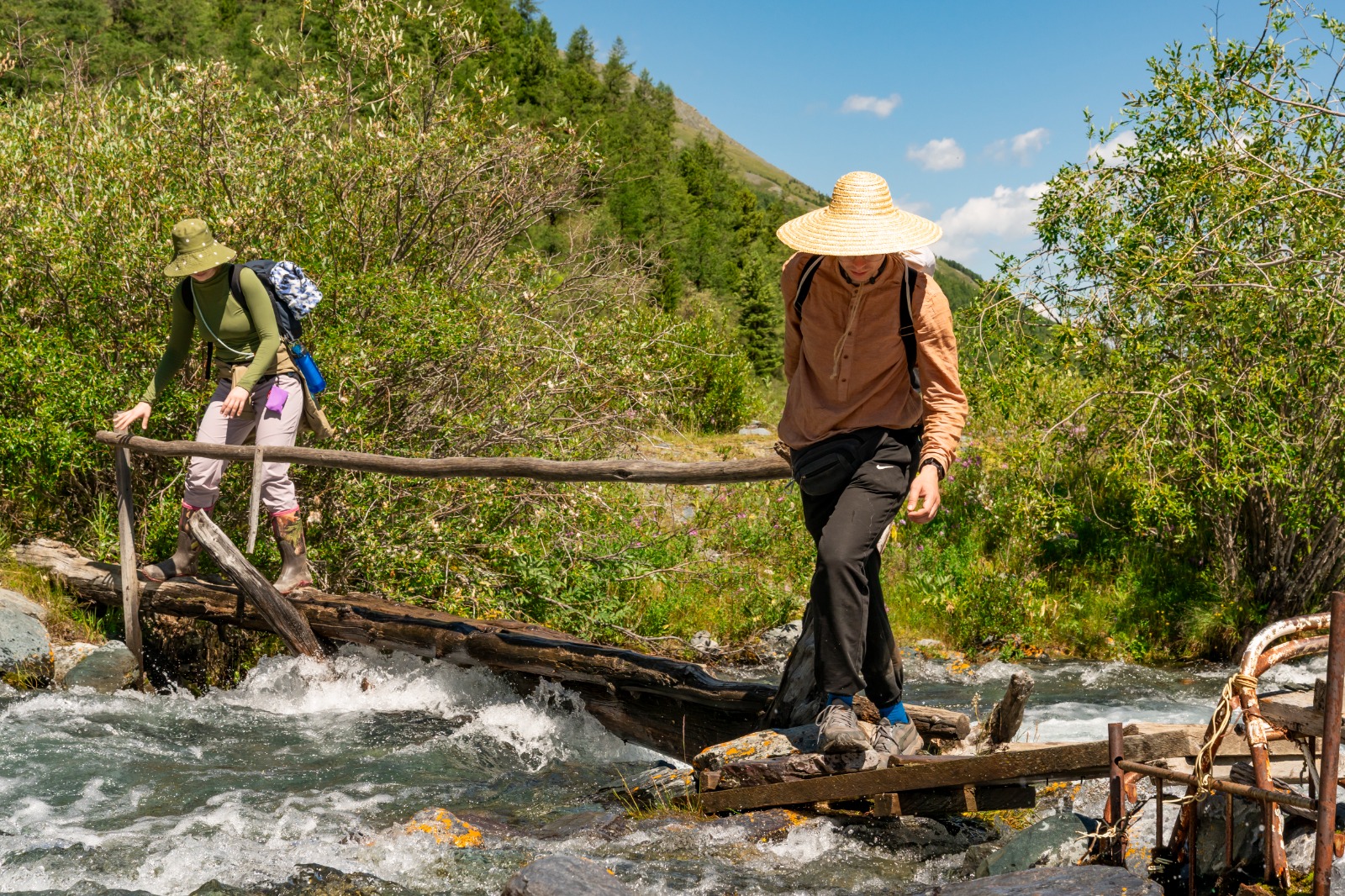 К подножью Белухи (13/31)