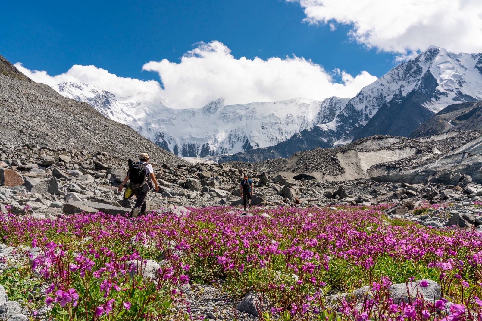 К подножью Белухи (11/31)