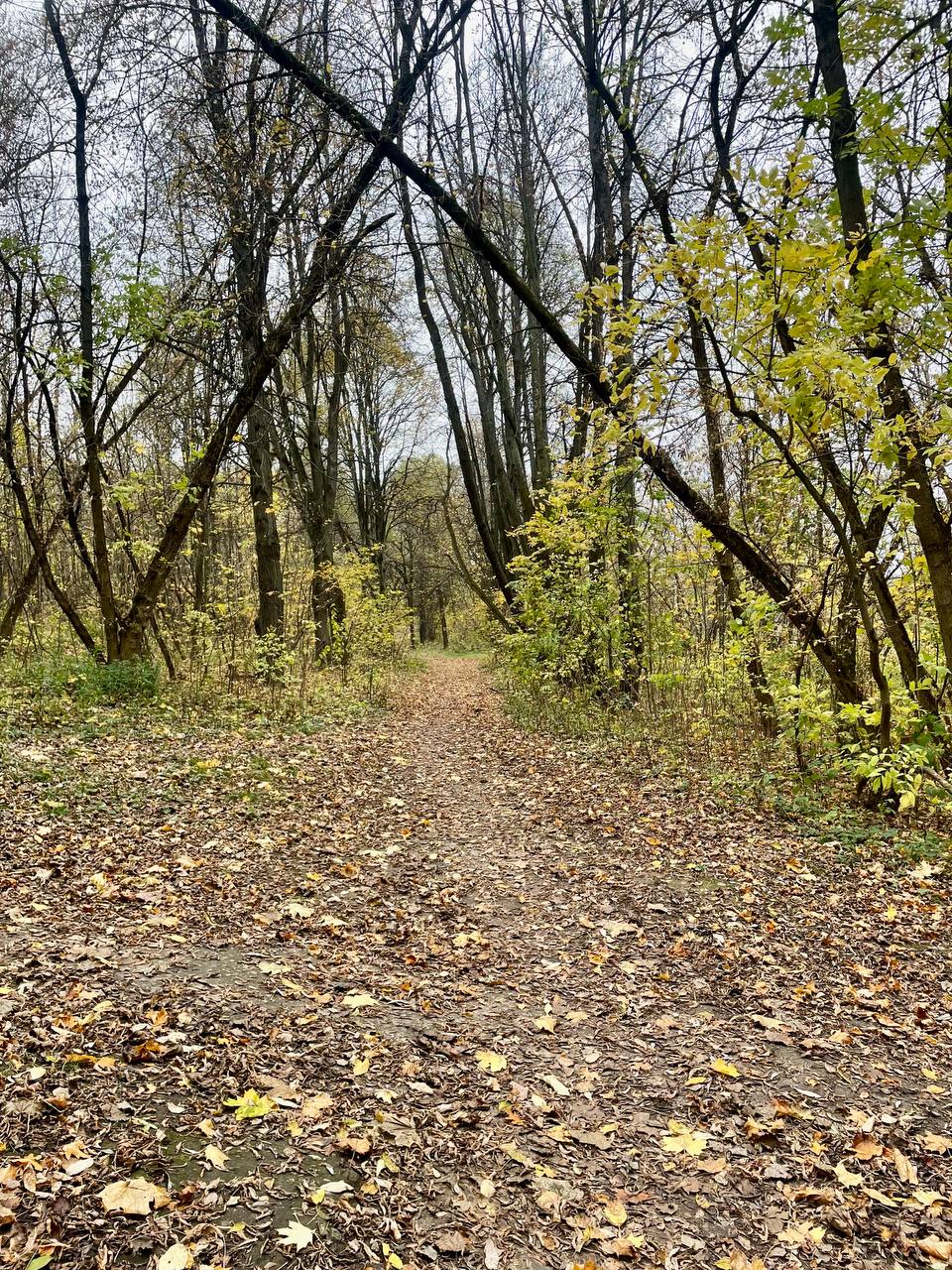 Поход однодневный в Дубровицы, Лемешево и Поливаново (3/10)