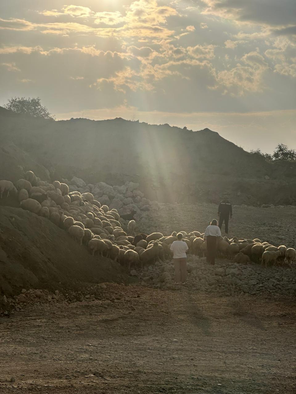 Открывая Дагестан: за три дня к сердцу Кавказа (Все Включено) (40/107)