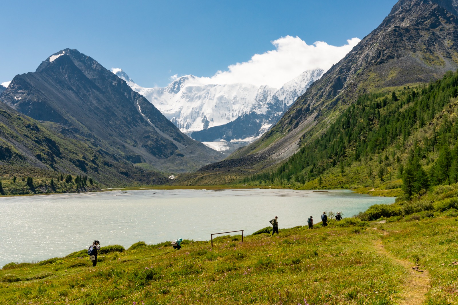 К подножью Белухи (14/31)