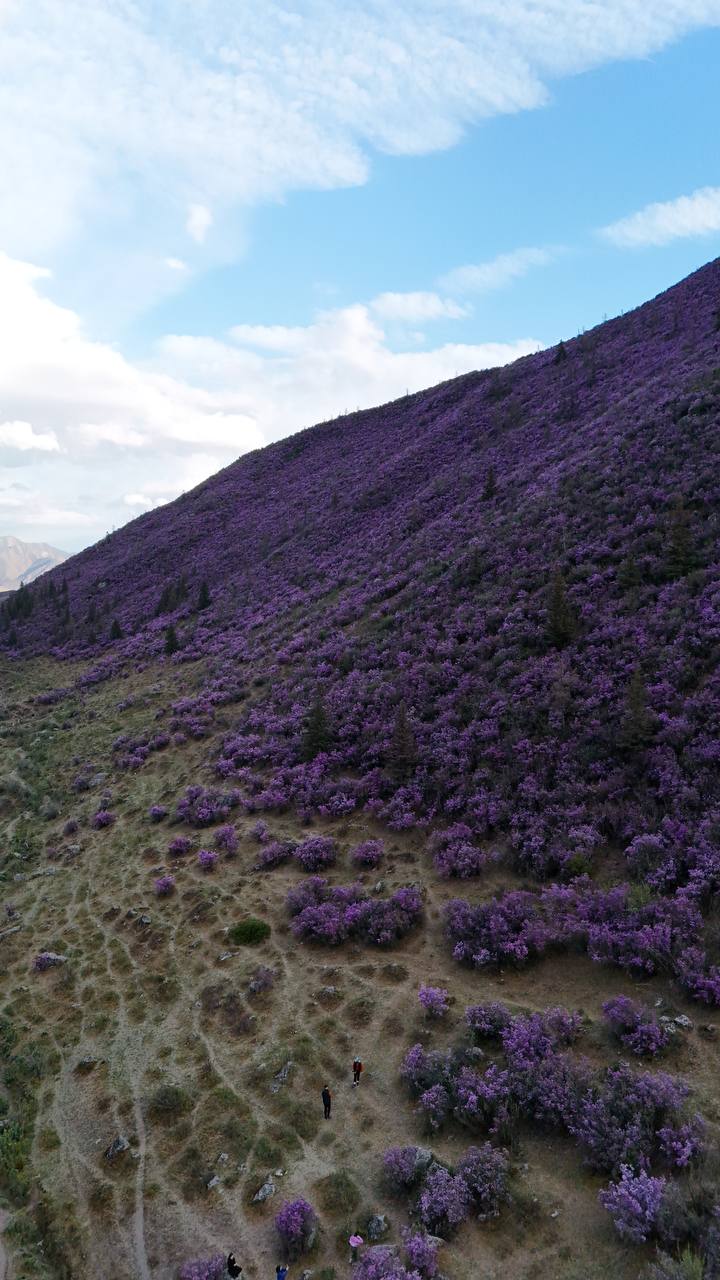 Тур Топ Мест + Маральник + развлечения (30/42)