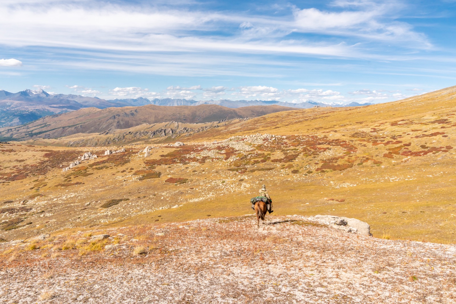 Конное путешествие на плато Укок (11/16)