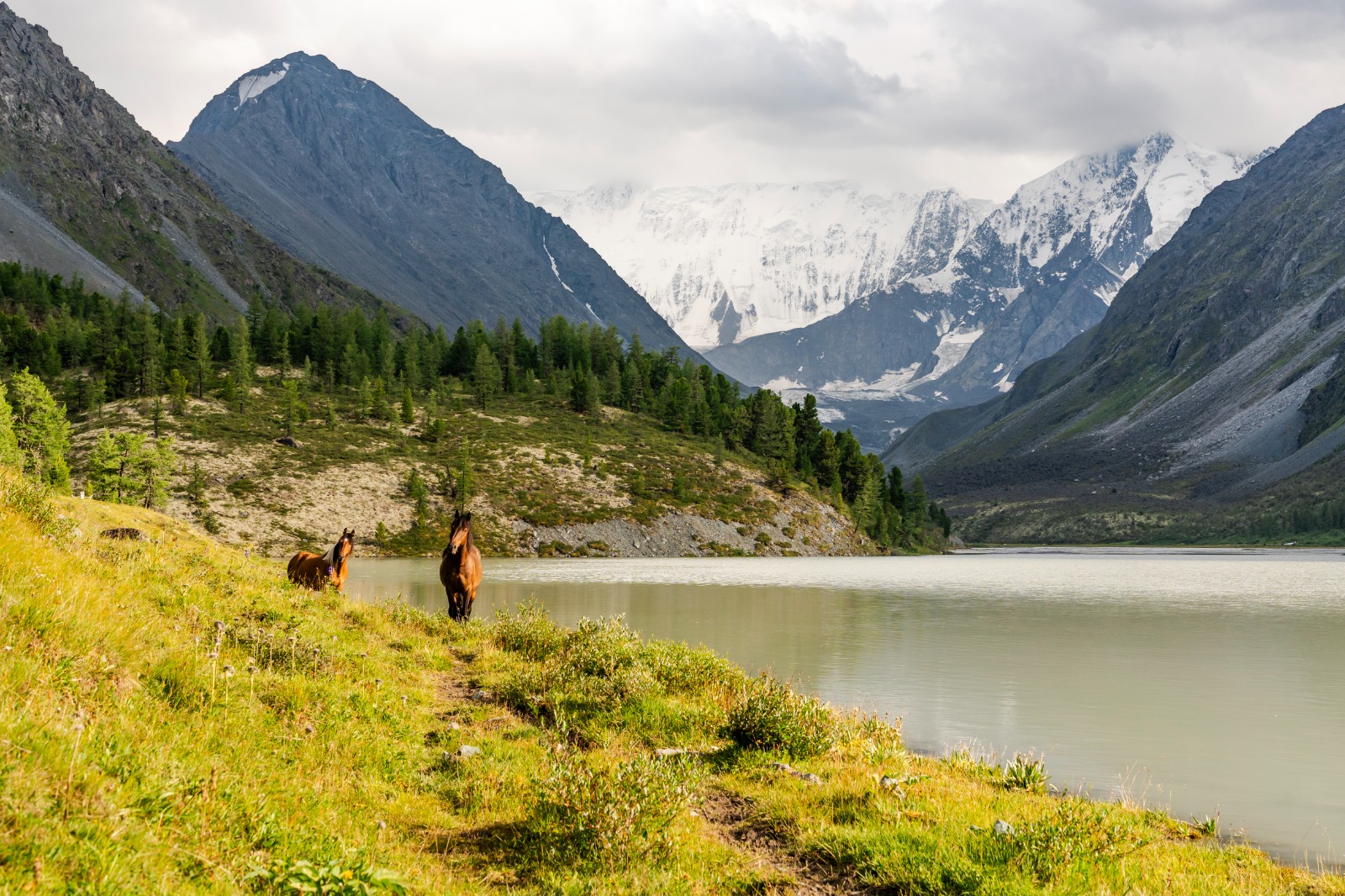 К подножью Белухи (9/31)