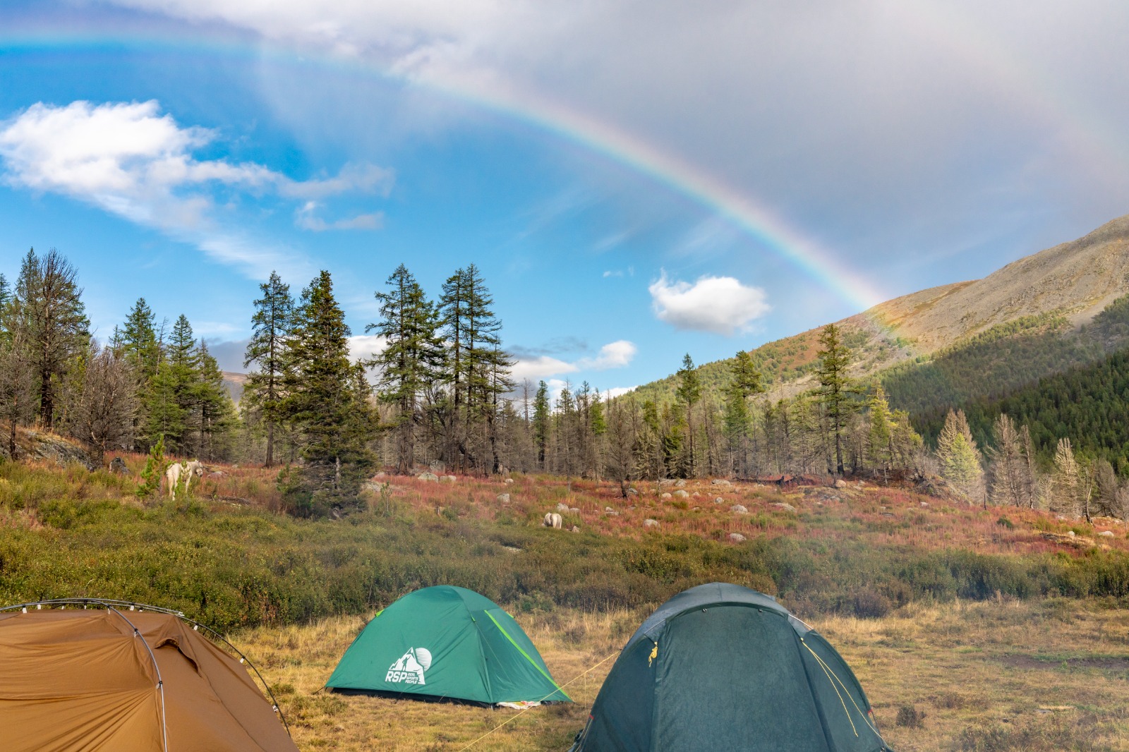 Конное путешествие на плато Укок (10/16)