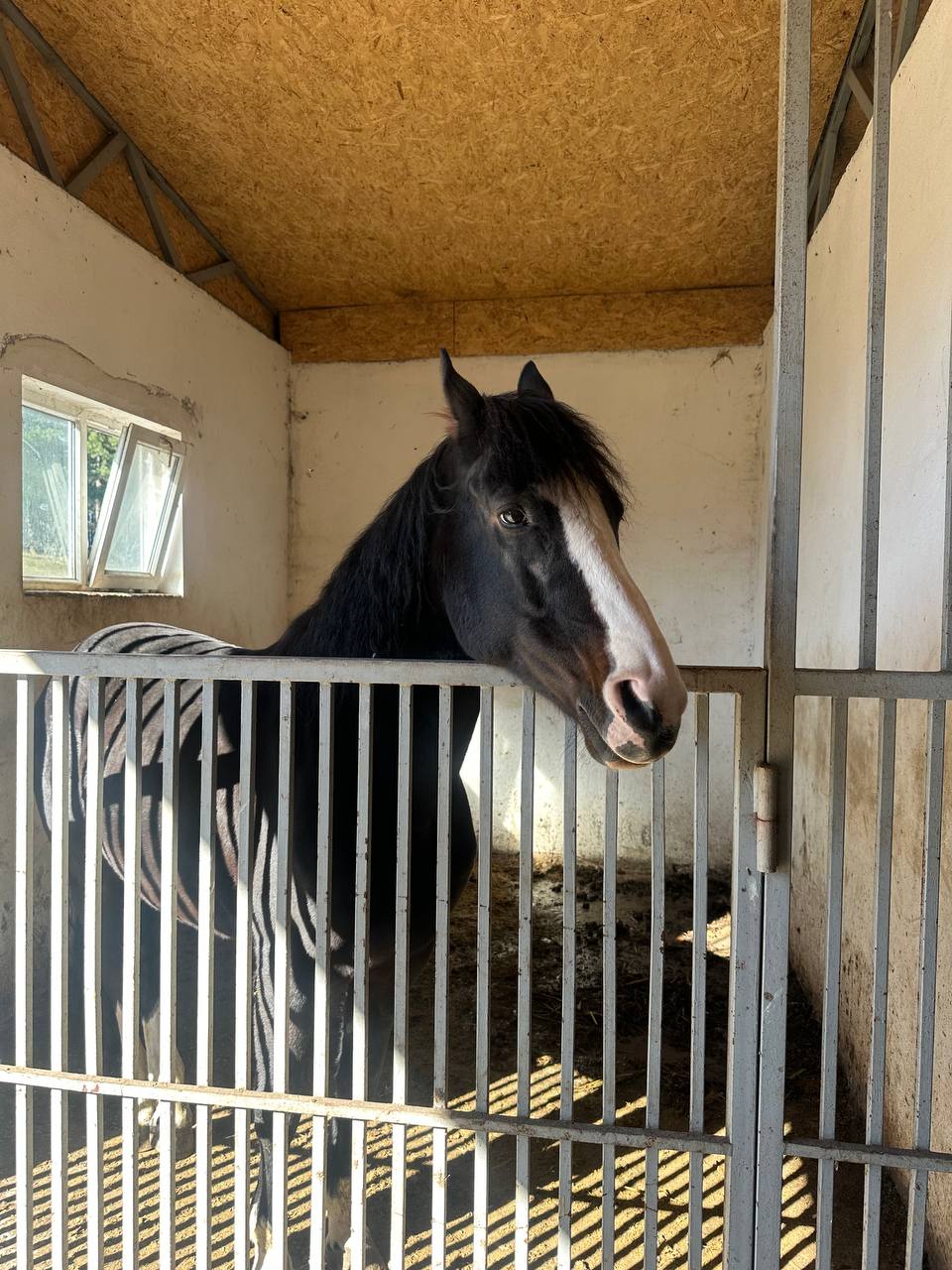 Захватывающие виды Чечни - Беной - Ахки-Т1ай и Шира Бена юрт (6/35)
