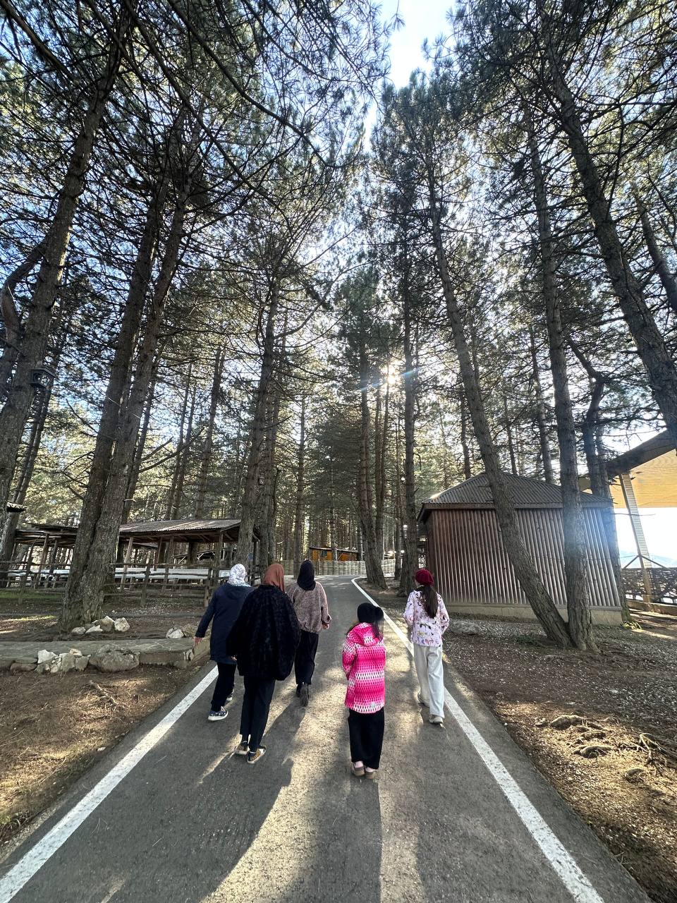 Захватывающие виды Чечни - Беной - Ахки-Т1ай и Шира Бена юрт (7/35)