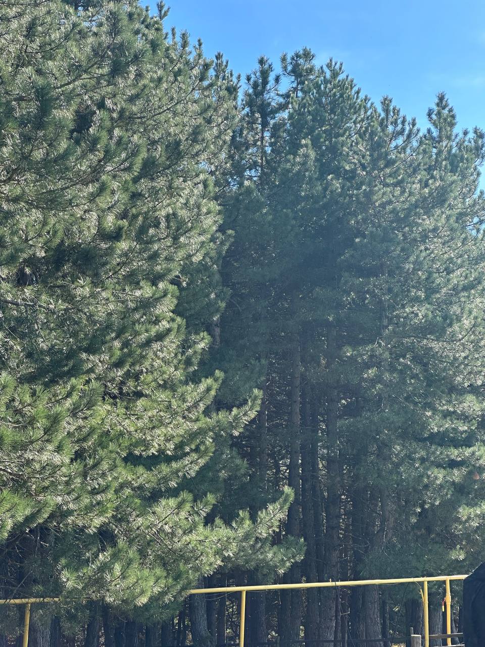 Захватывающие виды Чечни - Беной - Ахки-Т1ай и Шира Бена юрт (20/35)