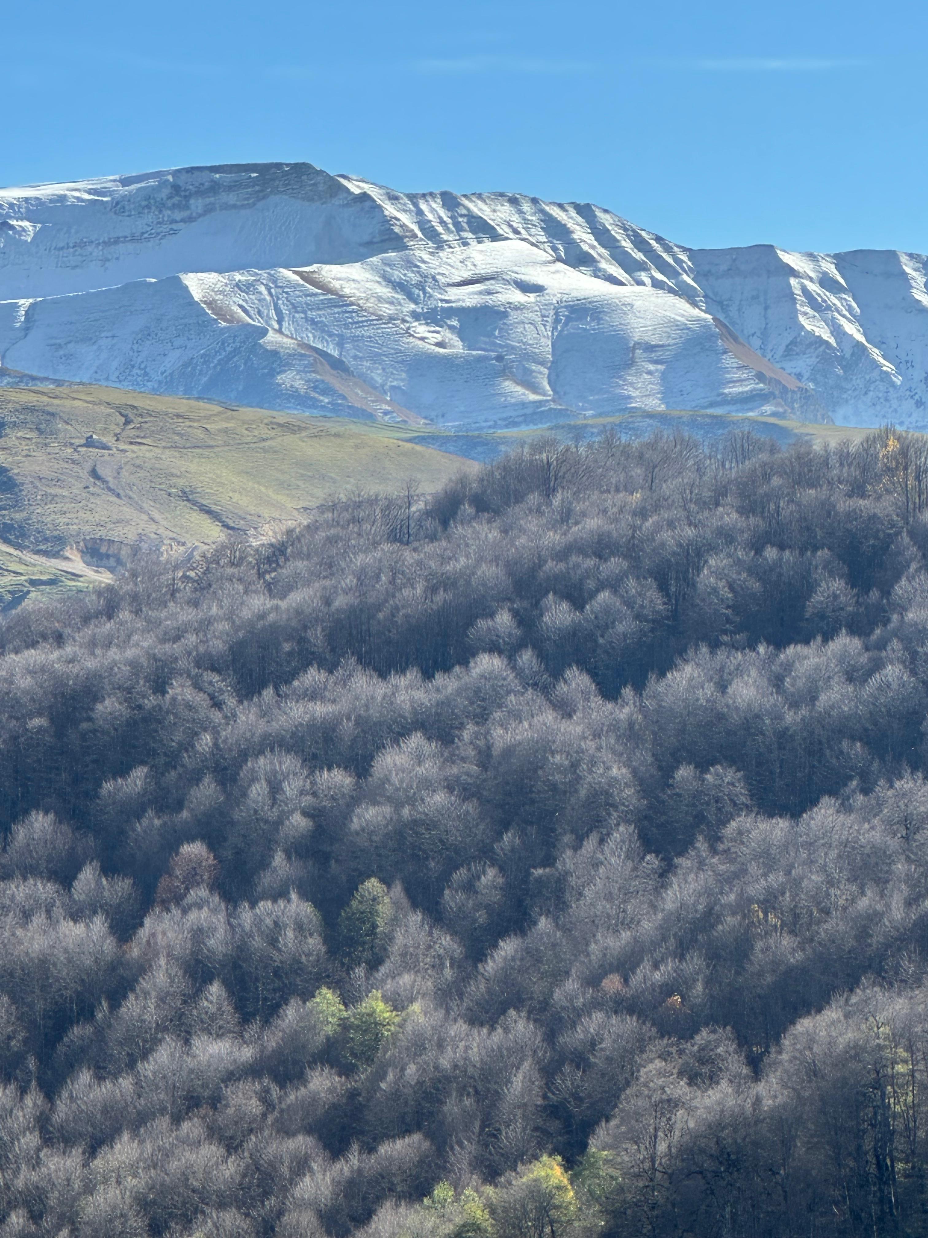 Захватывающие виды Чечни - Беной - Ахки-Т1ай и Шира Бена юрт (11/35)