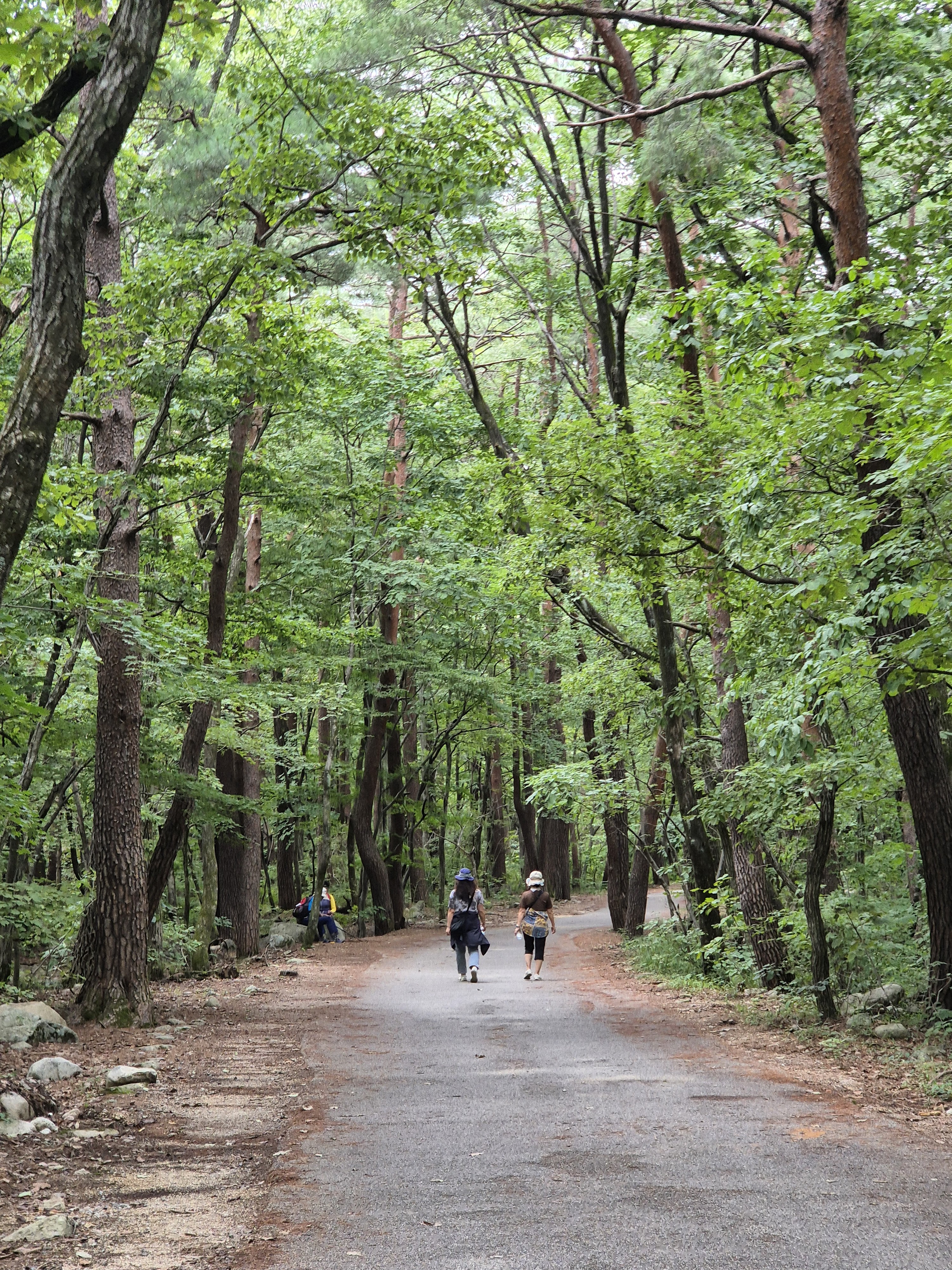 Путешествие в Сораксан: легендарные горы Юнеско и восточное побережье (10/13)