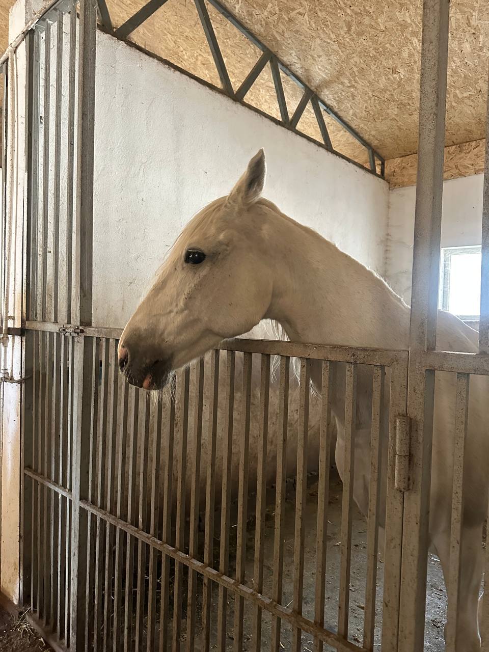 Захватывающие виды Чечни - Беной - Ахки-Т1ай и Шира Бена юрт (2/35)