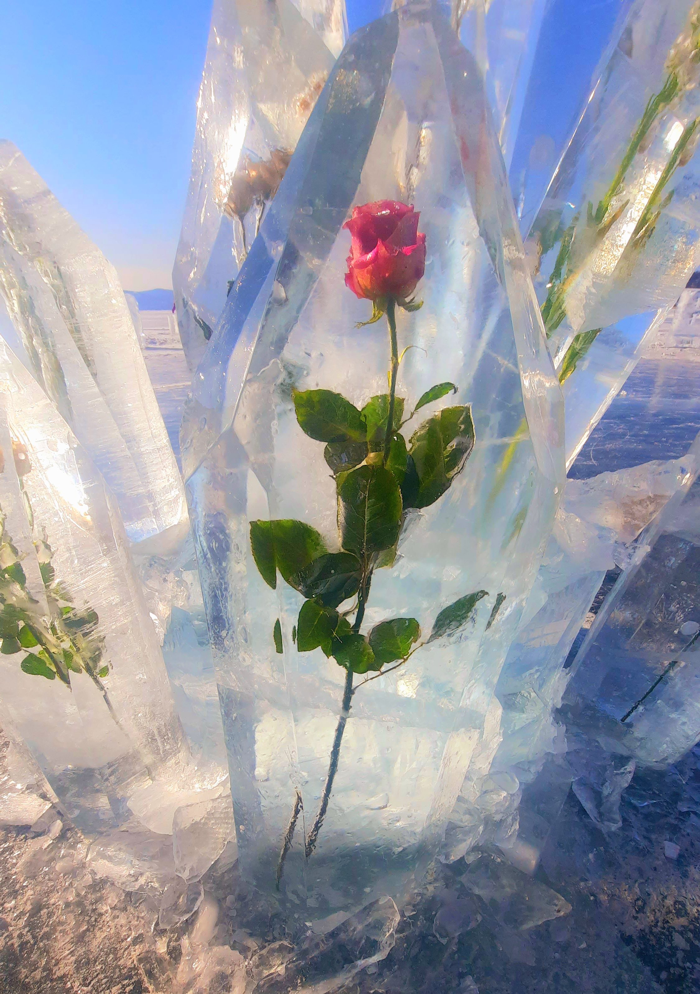 Ледяные просторы Байкала (пеший поход по льду Байкала) (3/15)