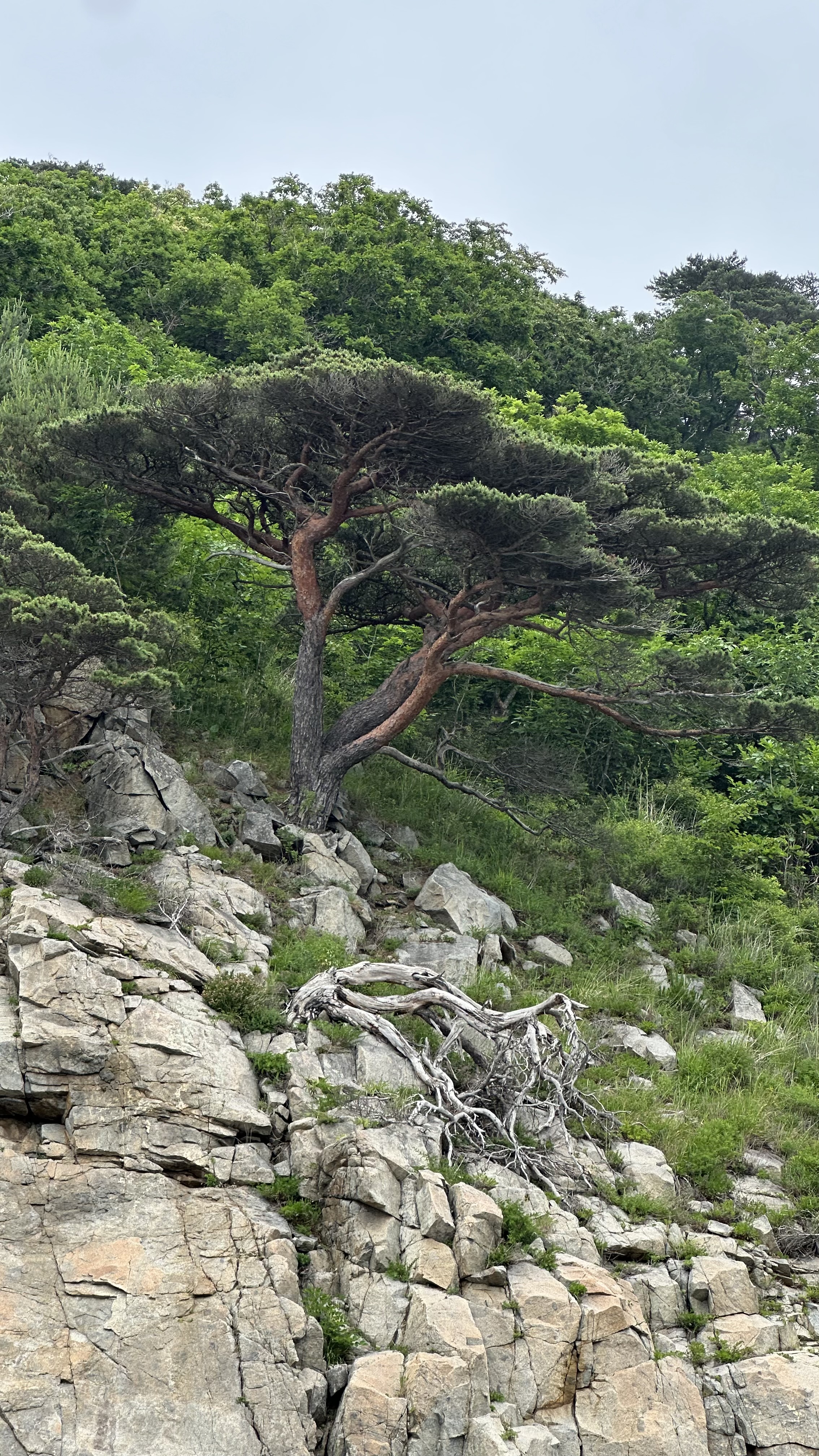 Гастротур во Владивосток. Комфорт + с питанием (2/21)
