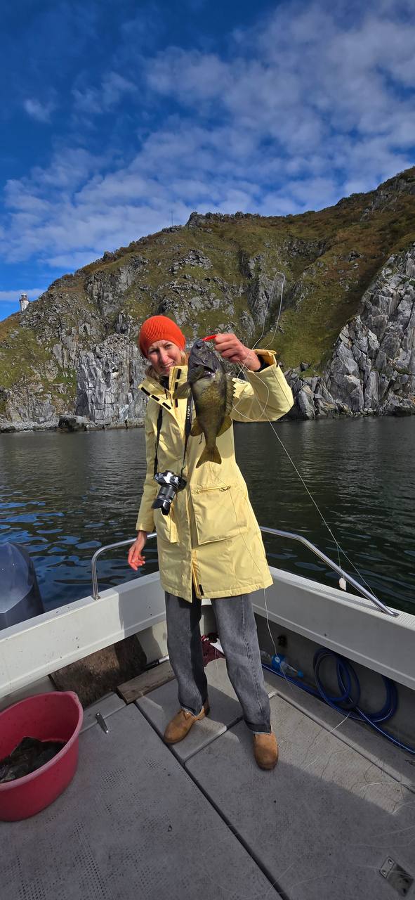 Берег Сокровищ (8/29)