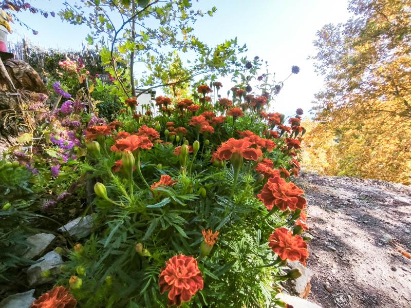 Восточная Ликийская тропа - пеший поход (6/53)