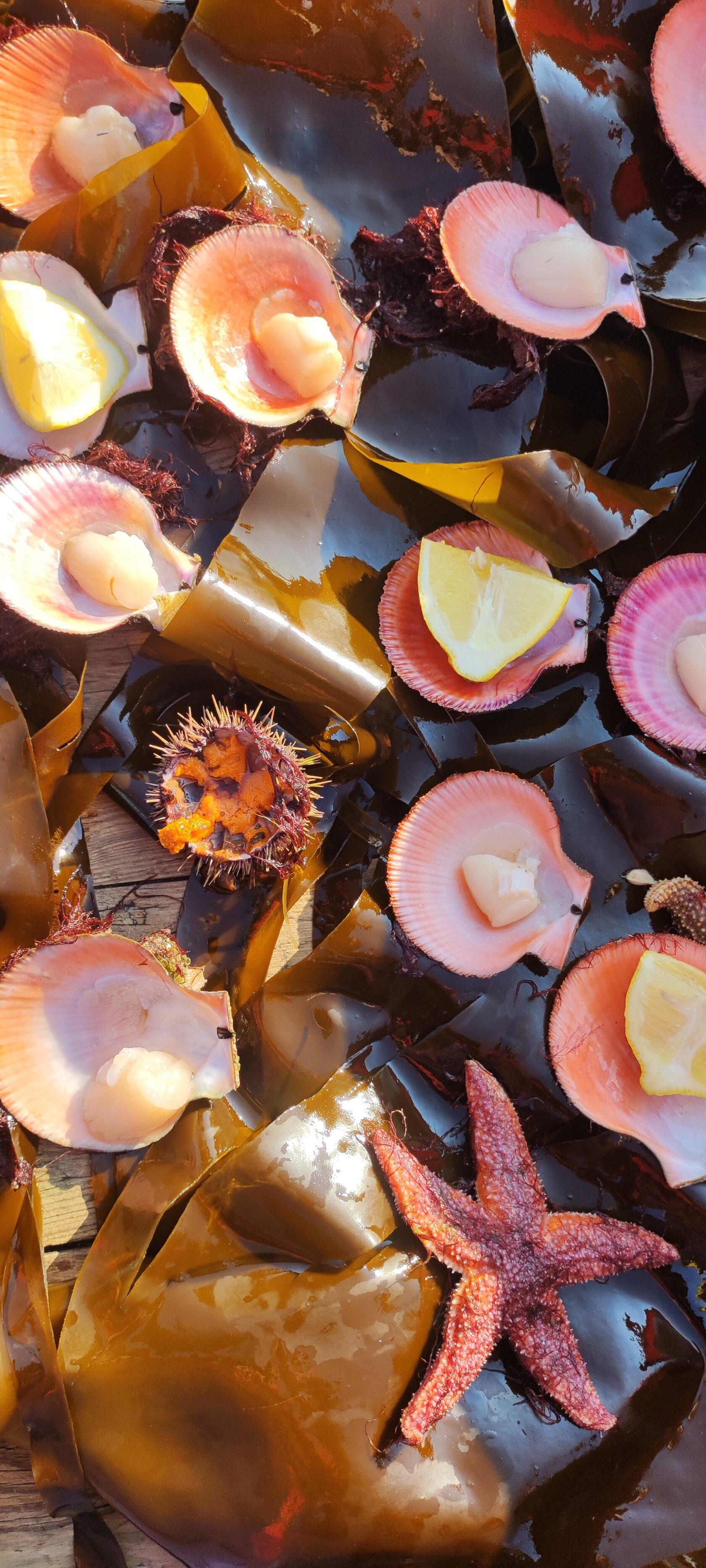 Жизнь на корабле! Киты, Териберка (22/34)