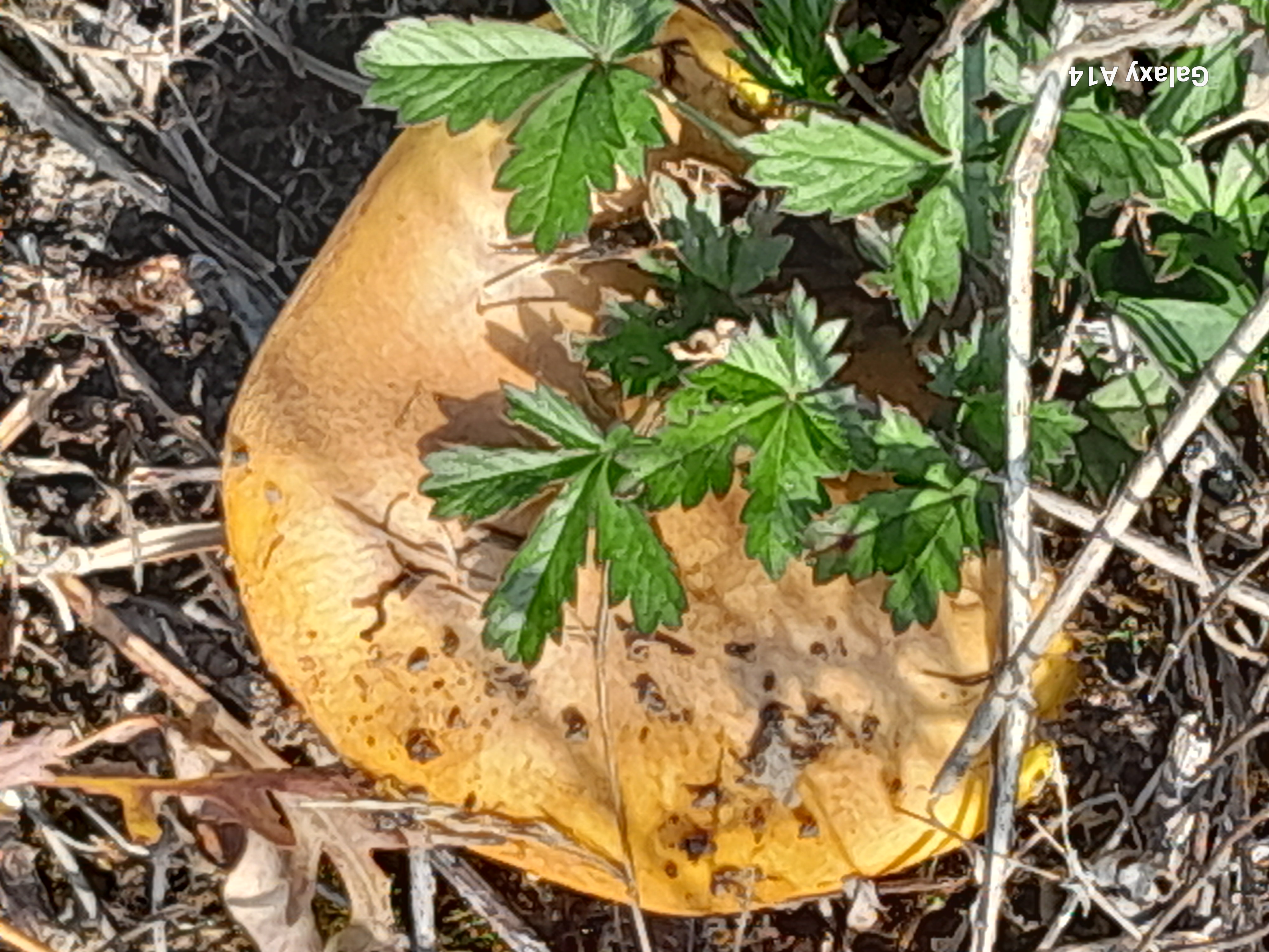 Однодневное путешествие из Алматы к озеру Иссык и в сердце Чарынского каньона (7/15)