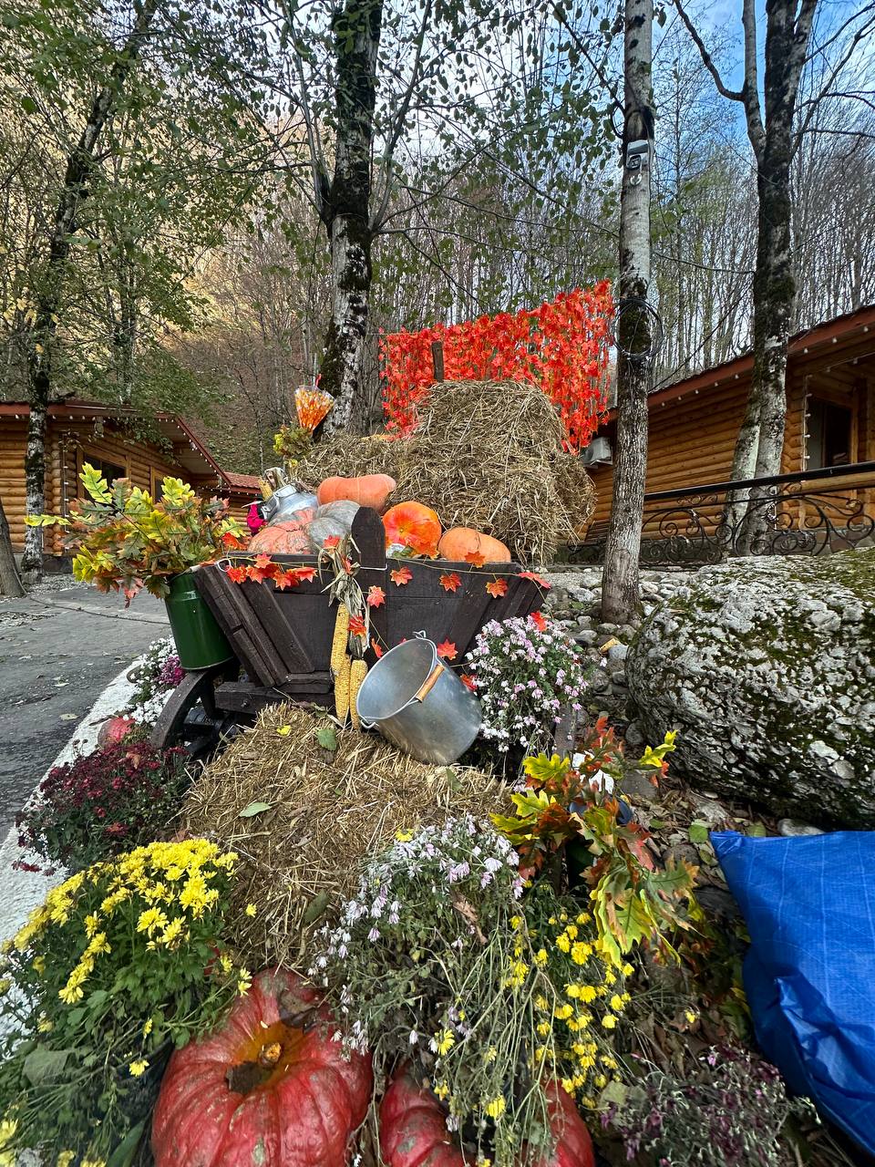 Захватывающие виды Чечни - Беной - Ахки-Т1ай и Шира Бена юрт (18/35)