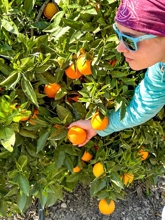 Восточная Ликийская тропа - пеший поход (32/53)