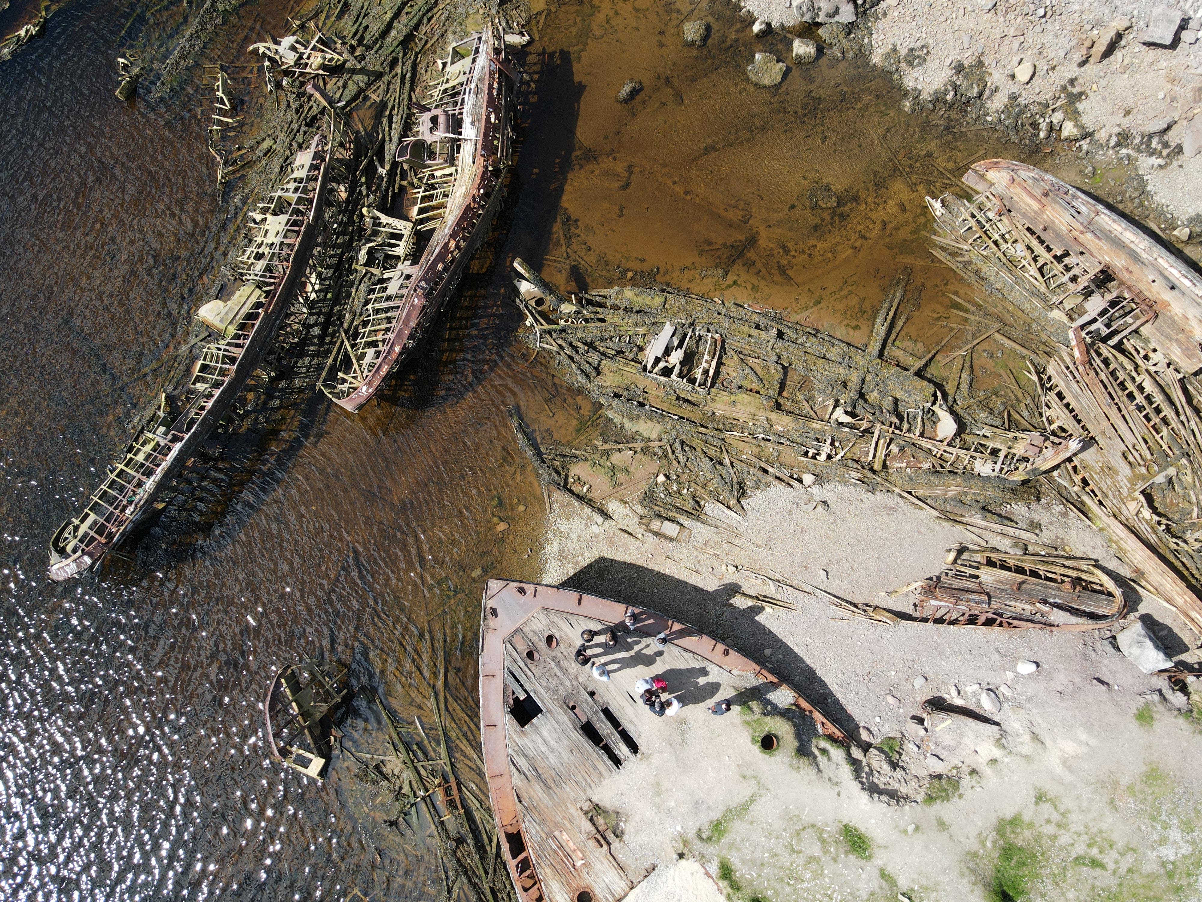 Кольский в гости к китам (3/13)