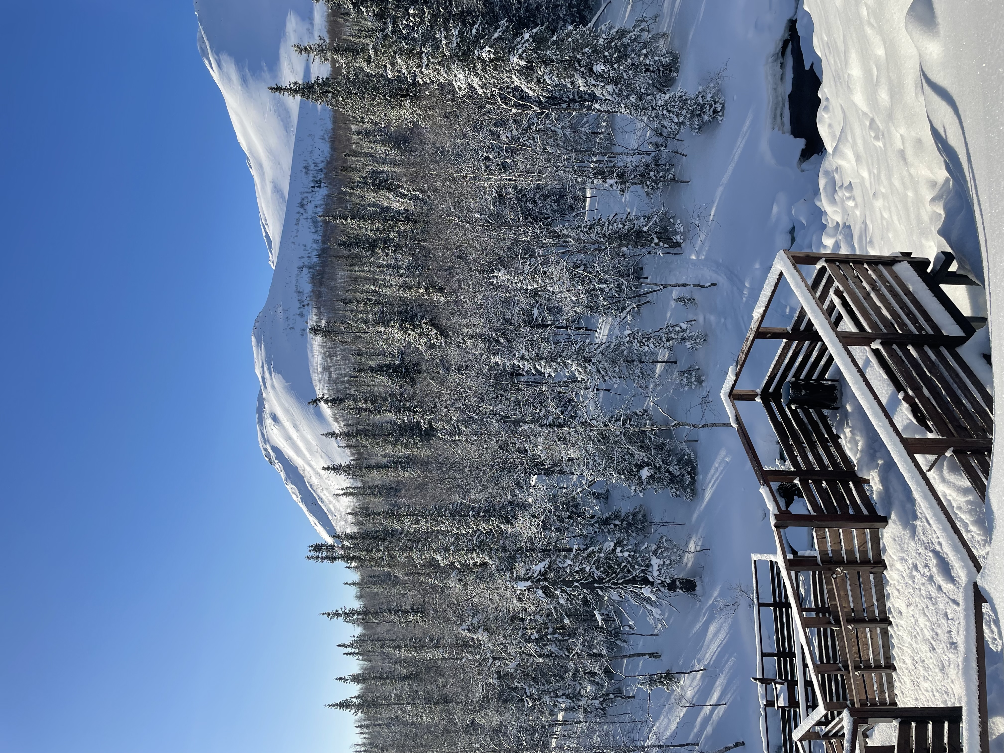 Горнолыжка в  Хибинах и  Белое море! (10/30)