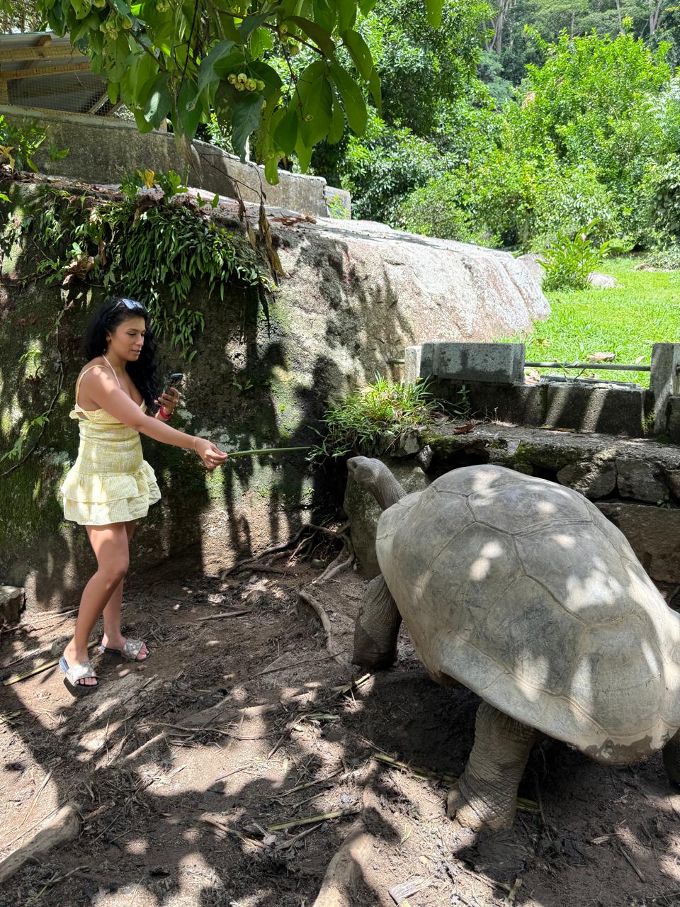 Сейшелы 8 дней. От лазурных берегов до зеленых холмов (22/47)