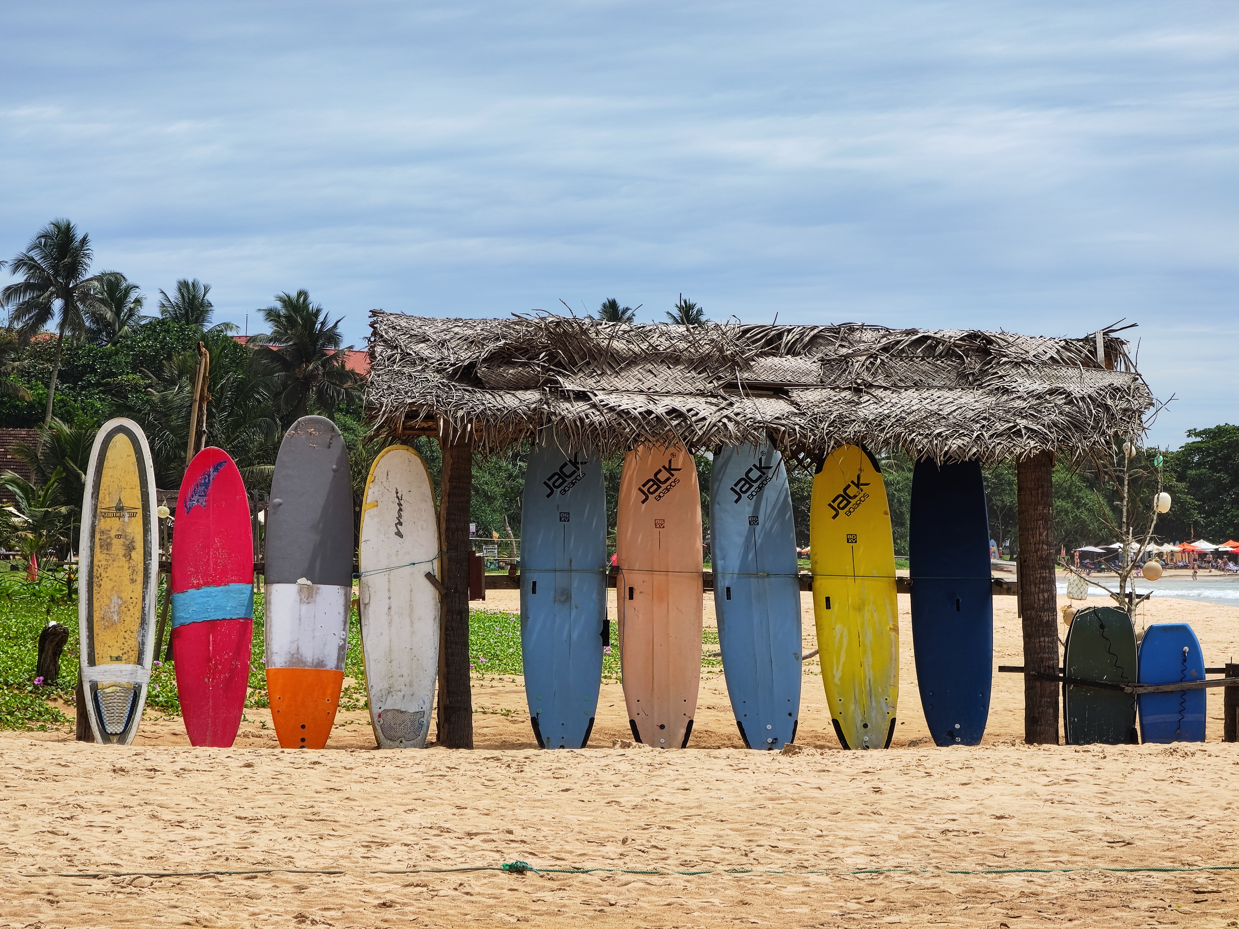 Шри-Ланка: Полное Погружение