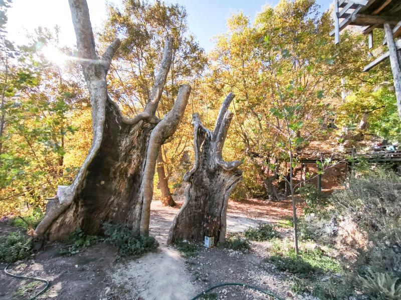 Восточная Ликийская тропа - пеший поход (15/53)