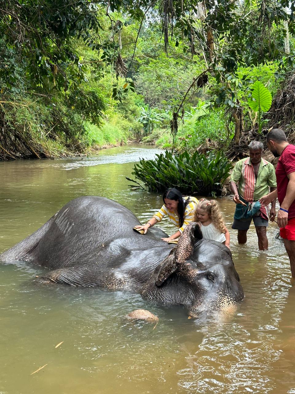 Сокровища Шри-Ланки (2-х дневная экскурсия)