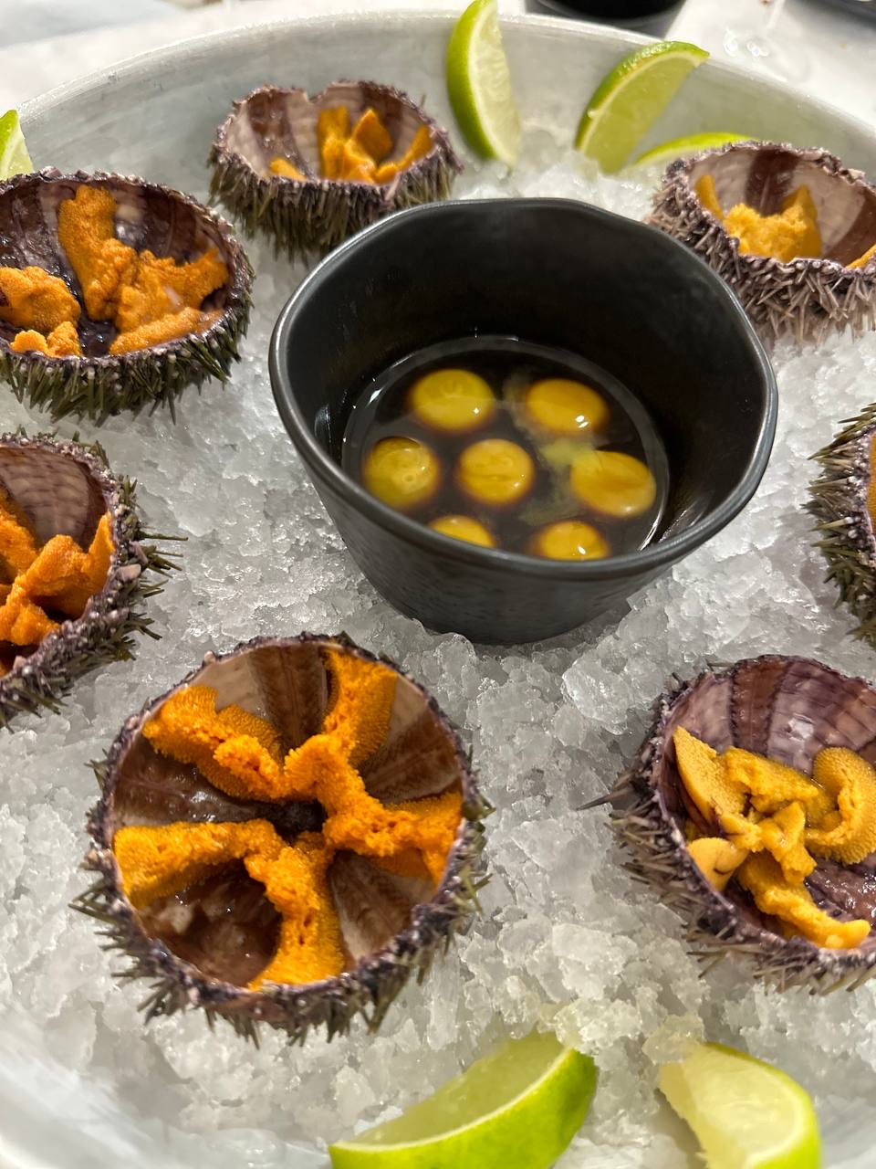 Кольский в гости к китам (5/13)