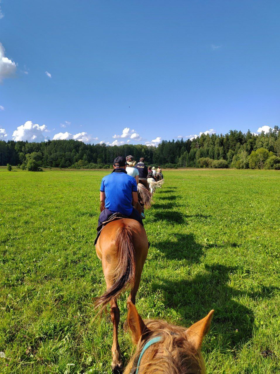 Конный тур + музей архитектуры и быта + обед в таверне (1/9)