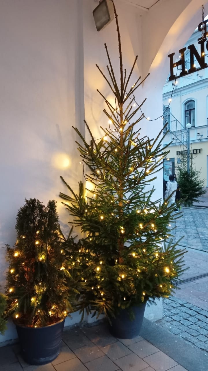 В Беларусь к мистеру Дарси: Новый год в Святском дворце