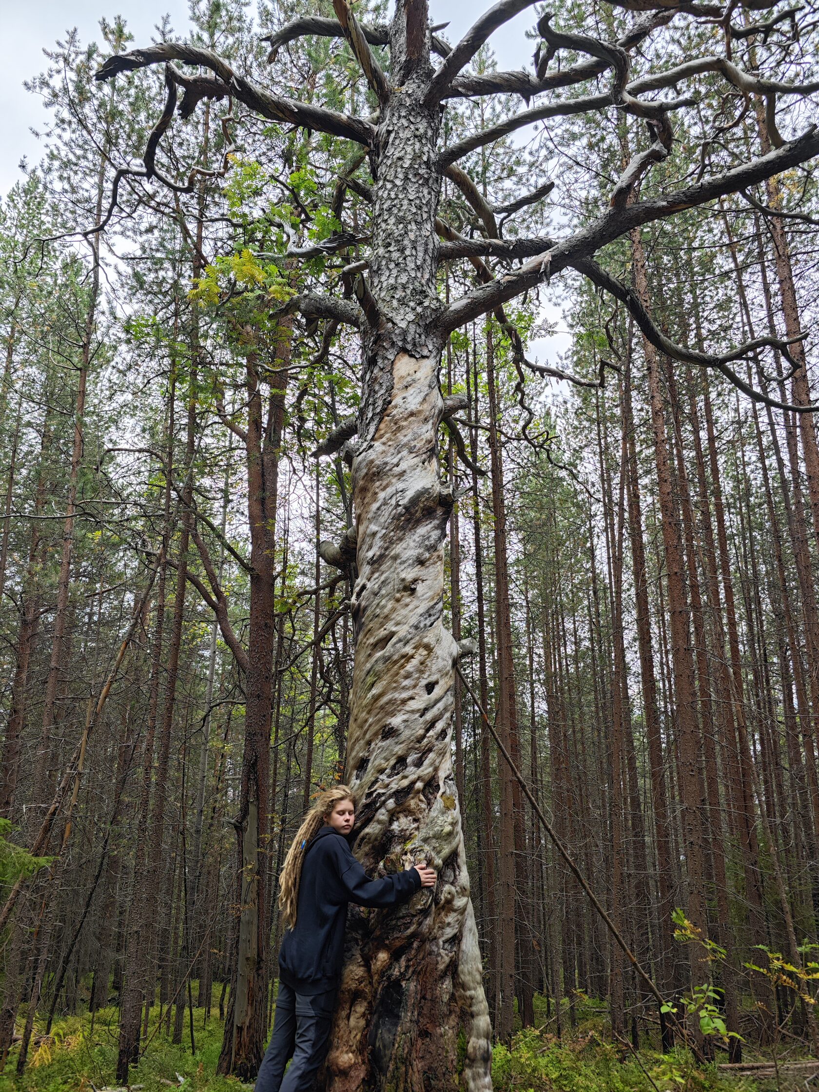 Терский берег и пески северной пустыни! (51/66)