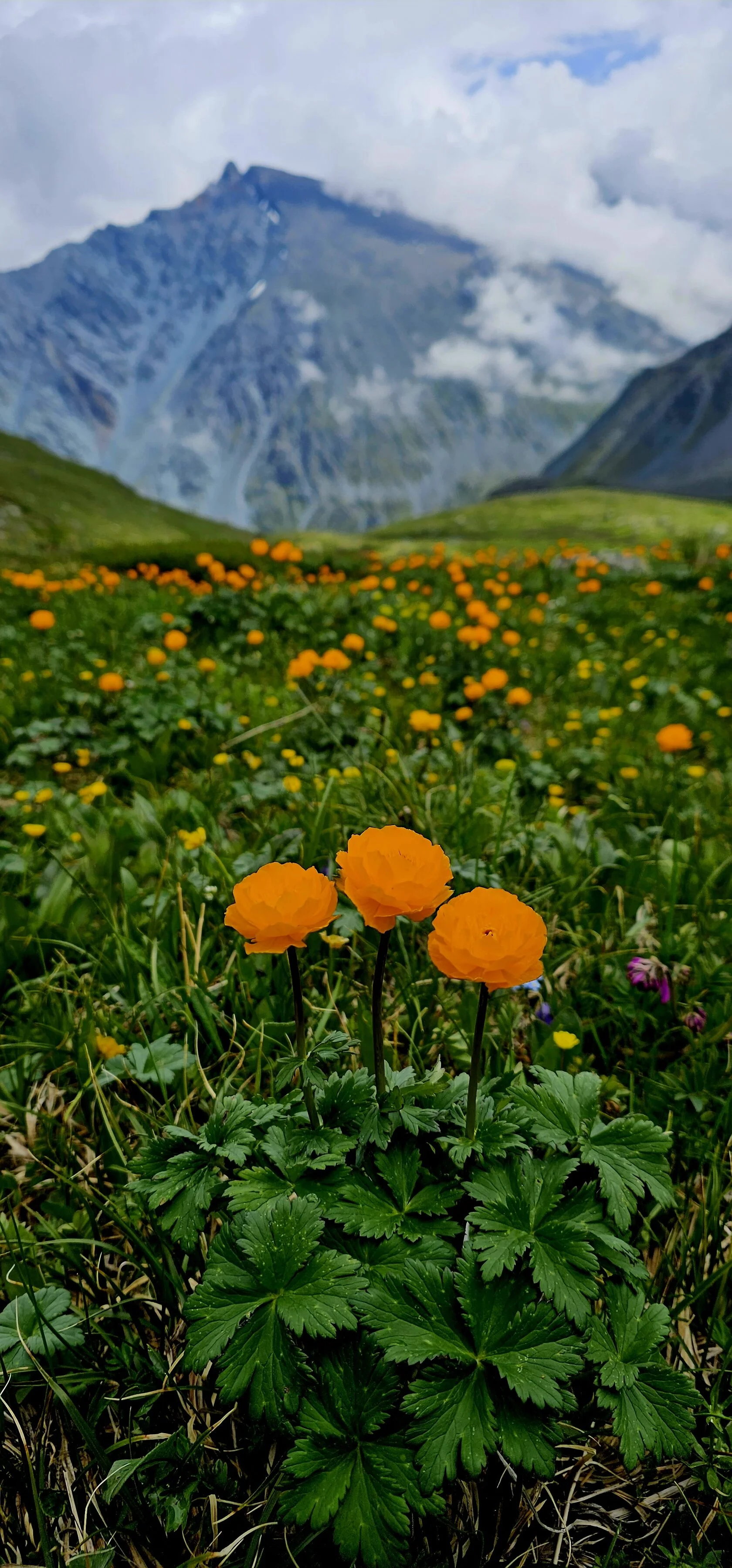 Заброска в горы