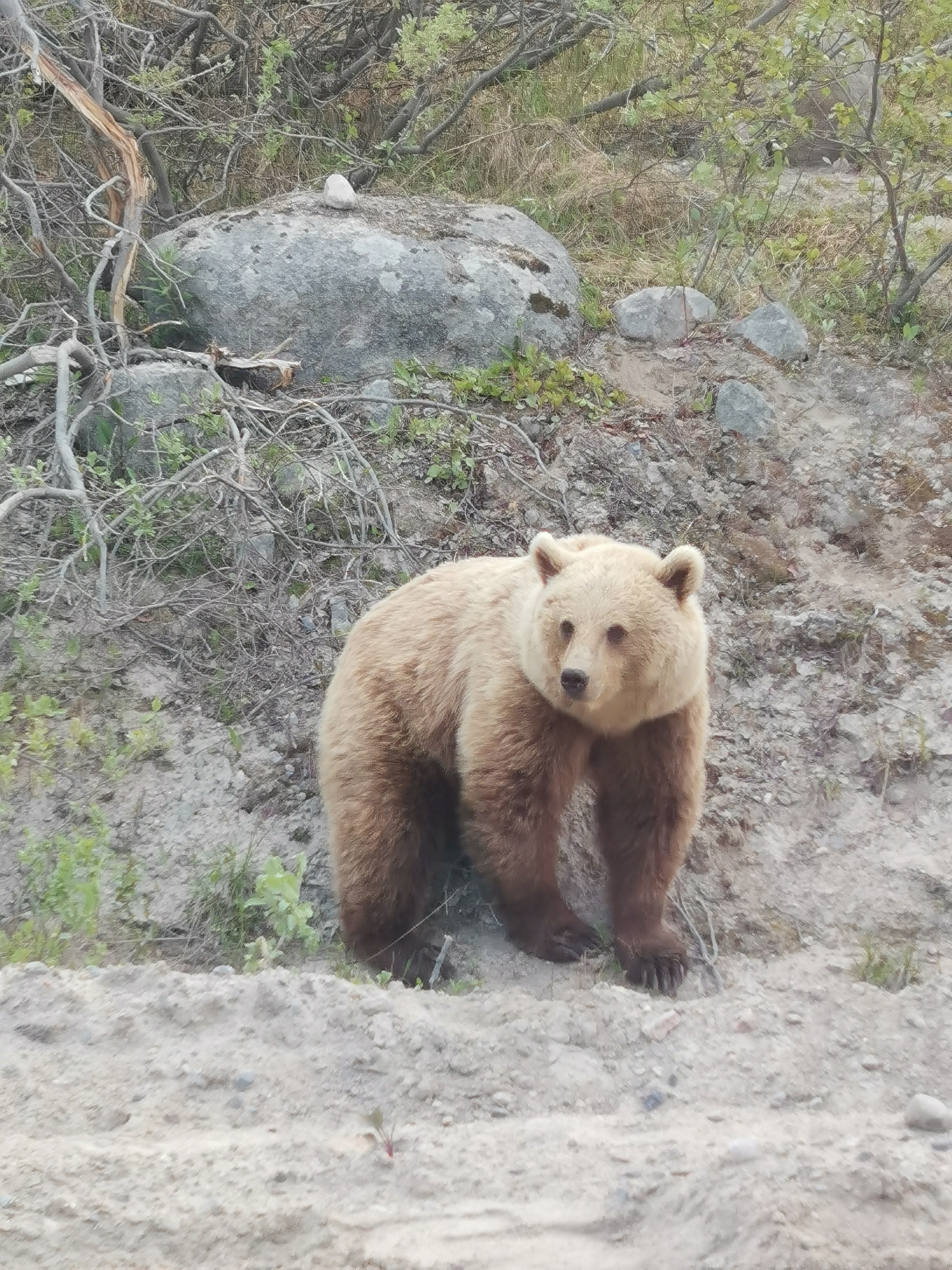Кольский в гости к китам (6/13)