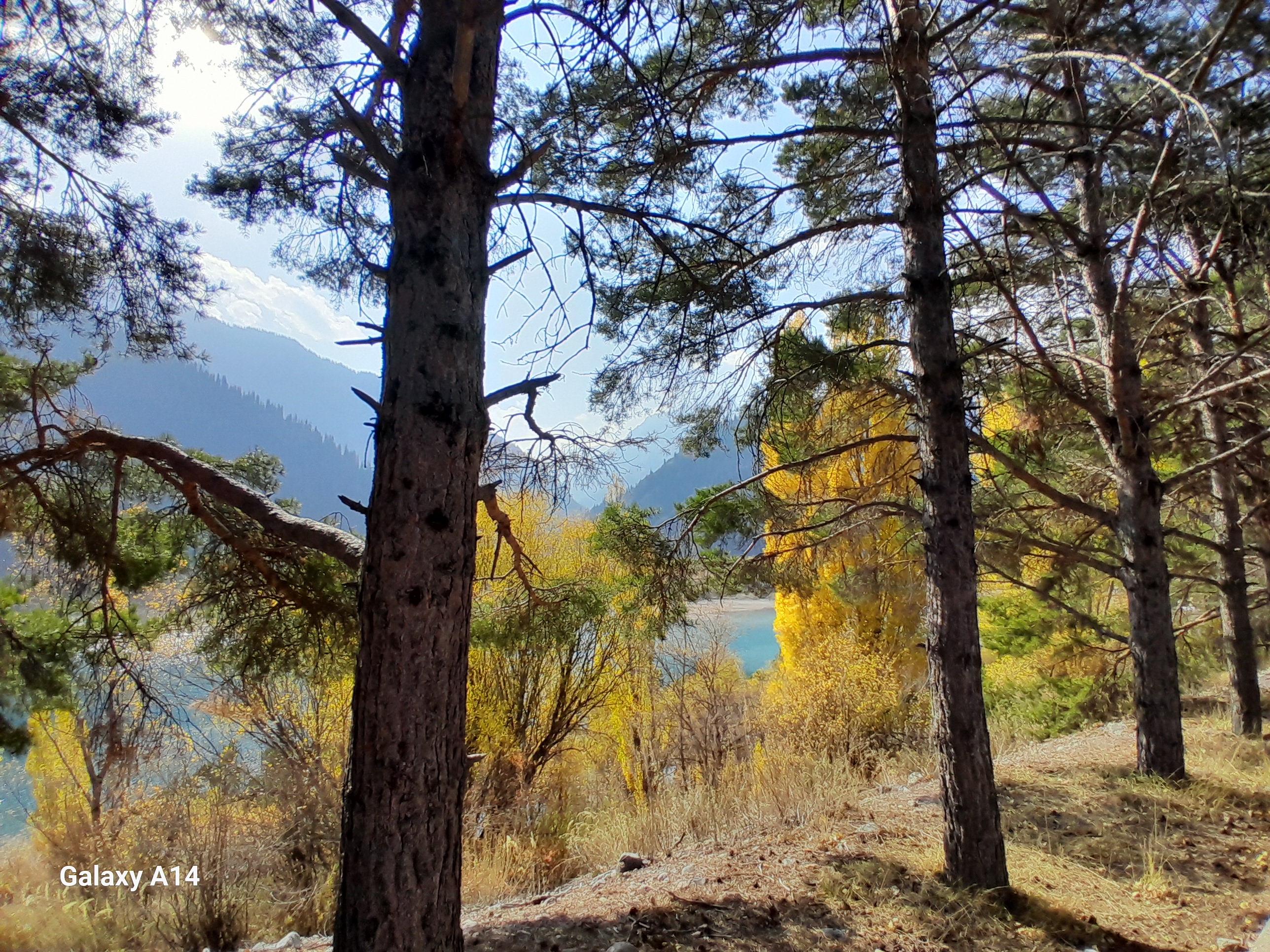 Однодневное путешествие из Алматы к озеру Иссык и в сердце Чарынского каньона (3/15)
