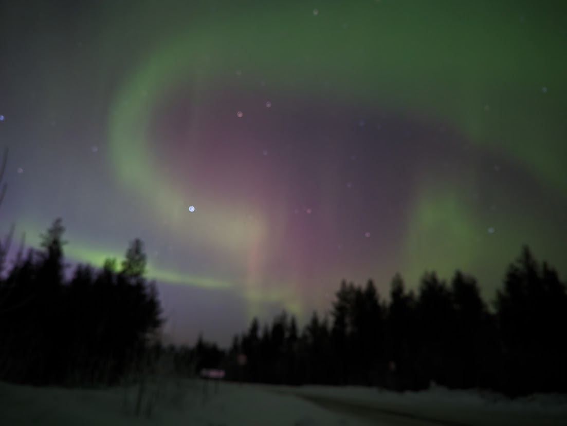 Кольский в гости к китам (7/13)