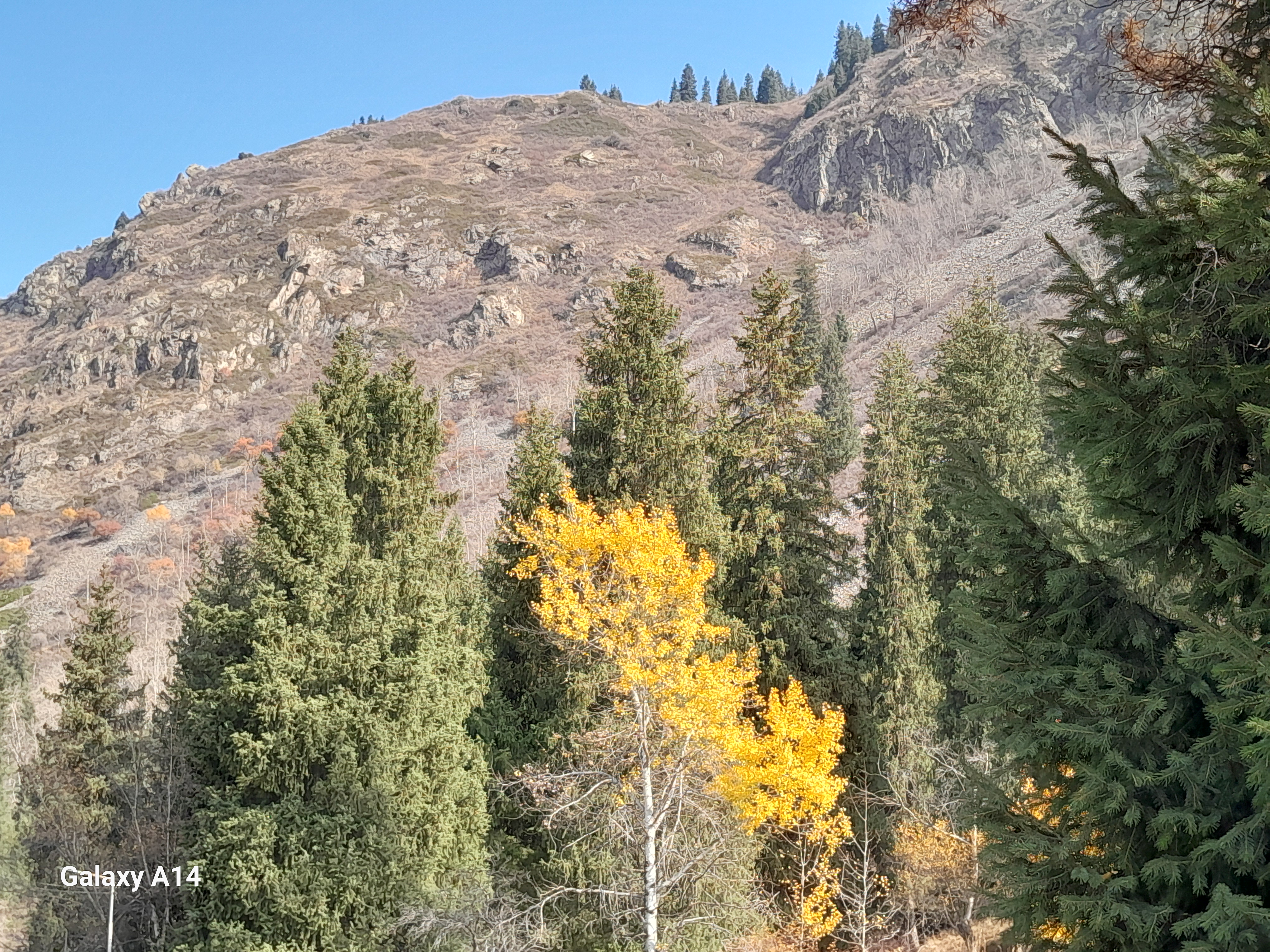 Однодневное путешествие из Алматы к озеру Иссык и в сердце Чарынского каньона (2/15)