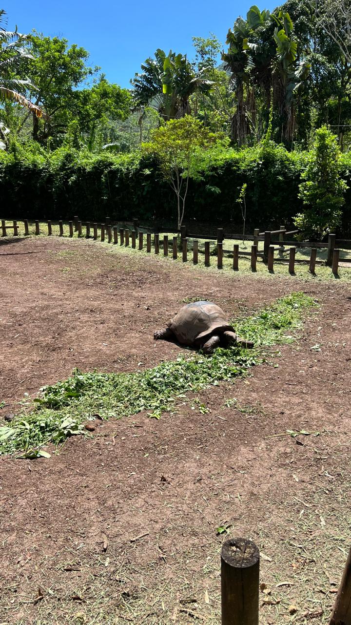 Вдохновляющий Маврикий 9 дней самые красивые пейзажи острова (3/43)