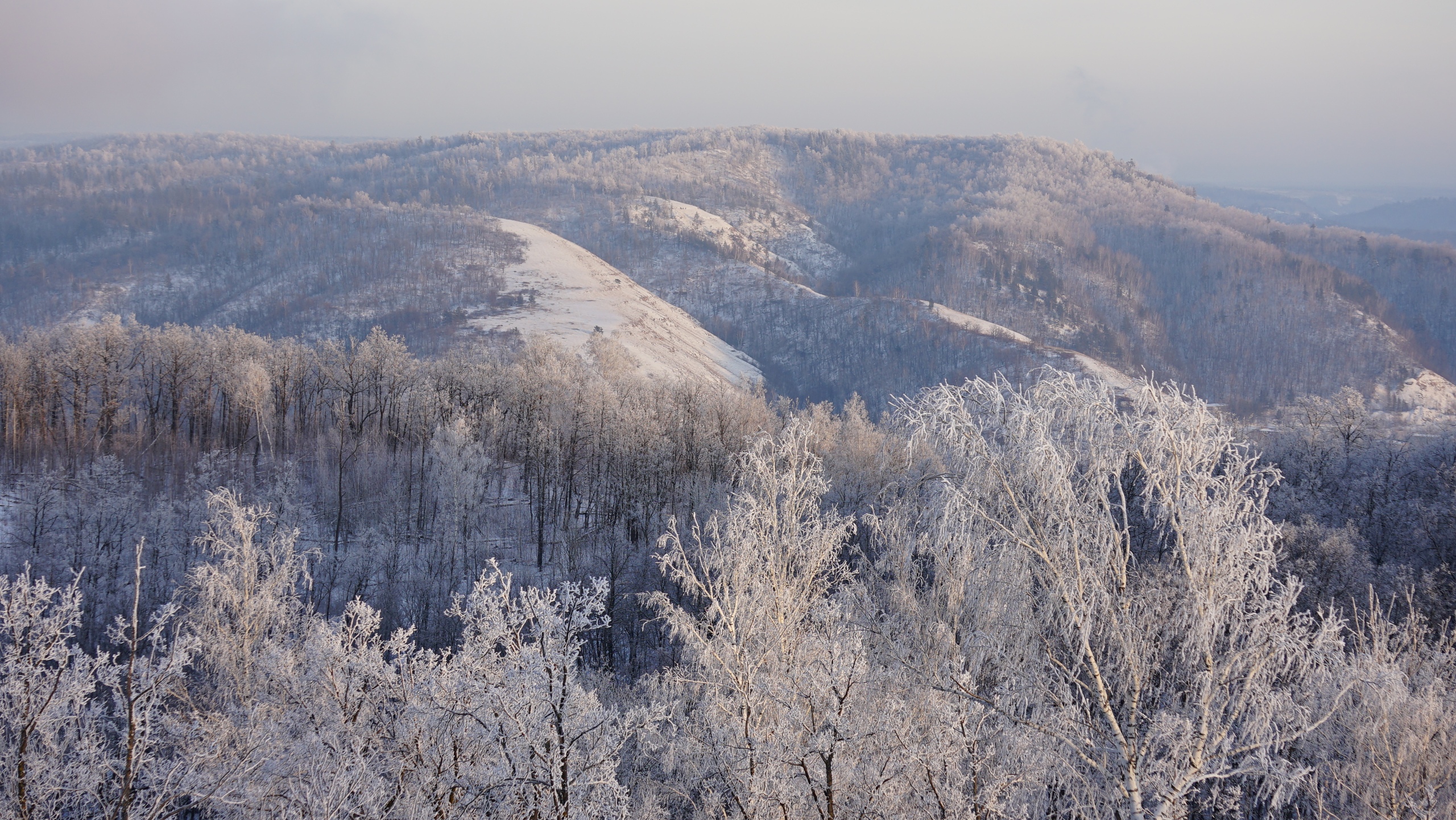 Самарская лука и замок Гарибальди с проживанием в доме