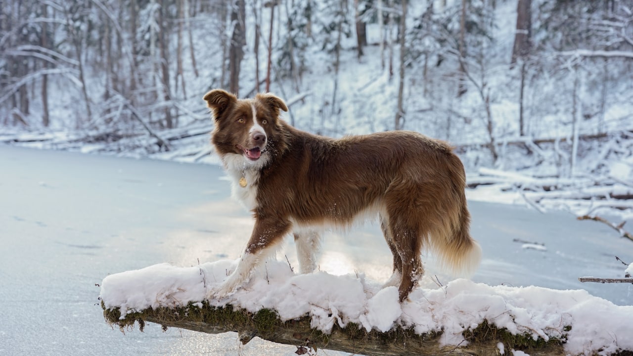 Весенний Сплав + Поход по реке Илеть с проживанием в доме!