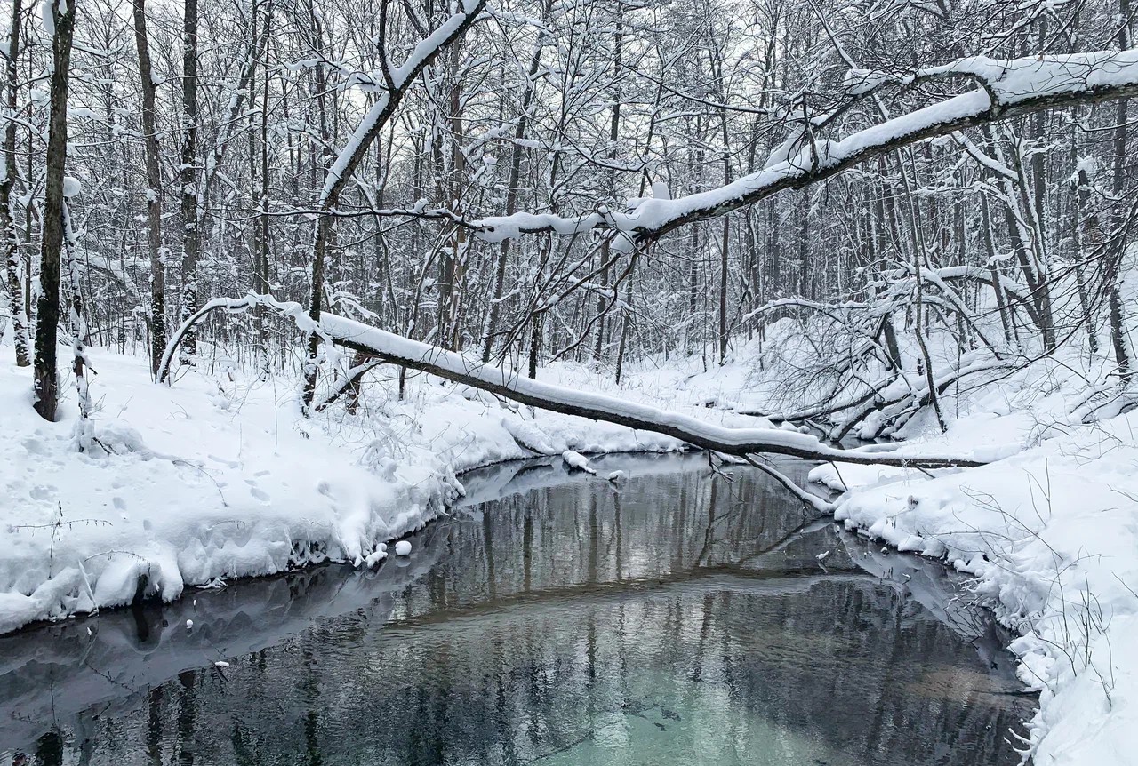 Зимний Сплав по реке Илеть!