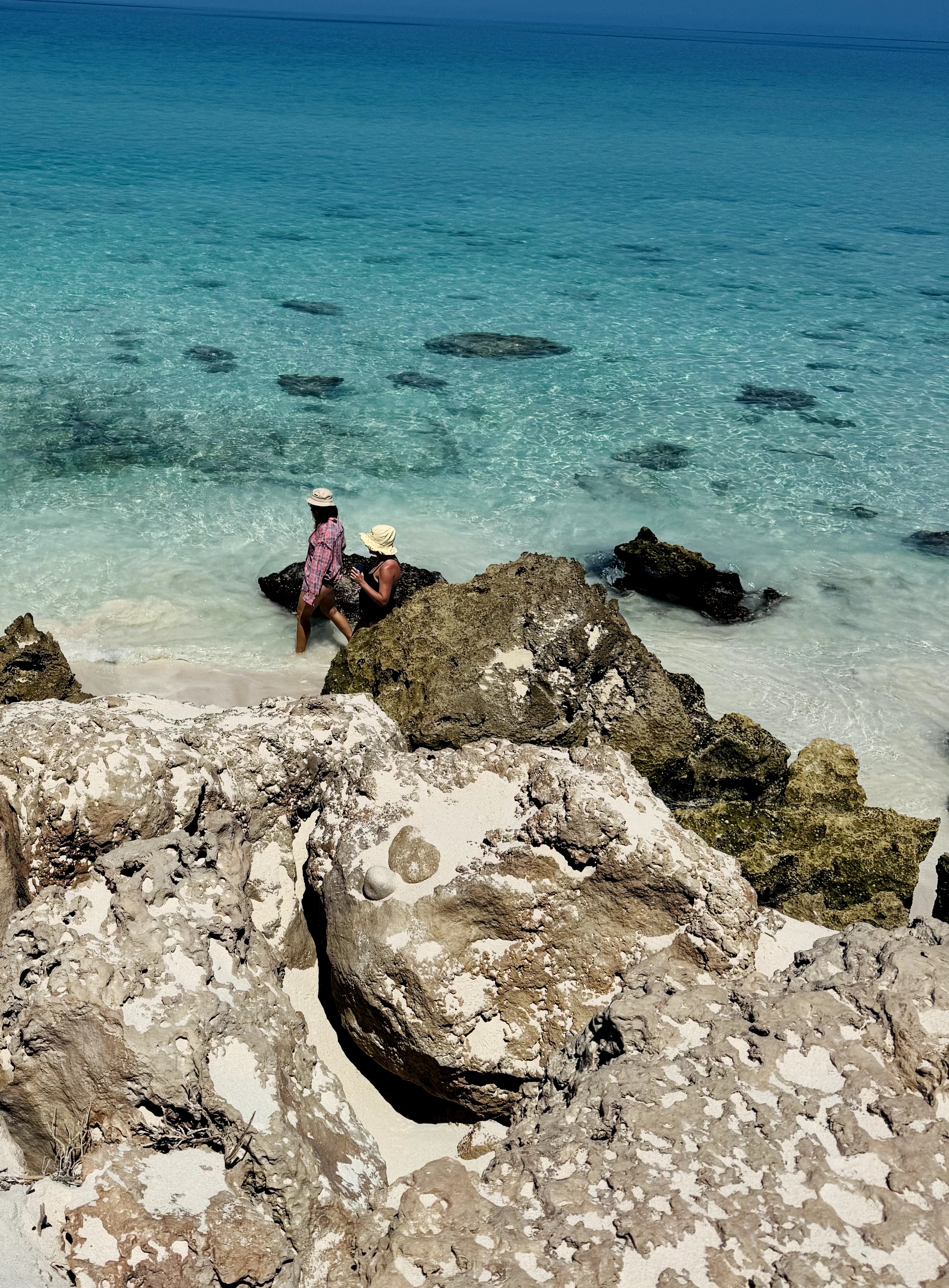 Сокотра - тур на остров блаженства (18/48)