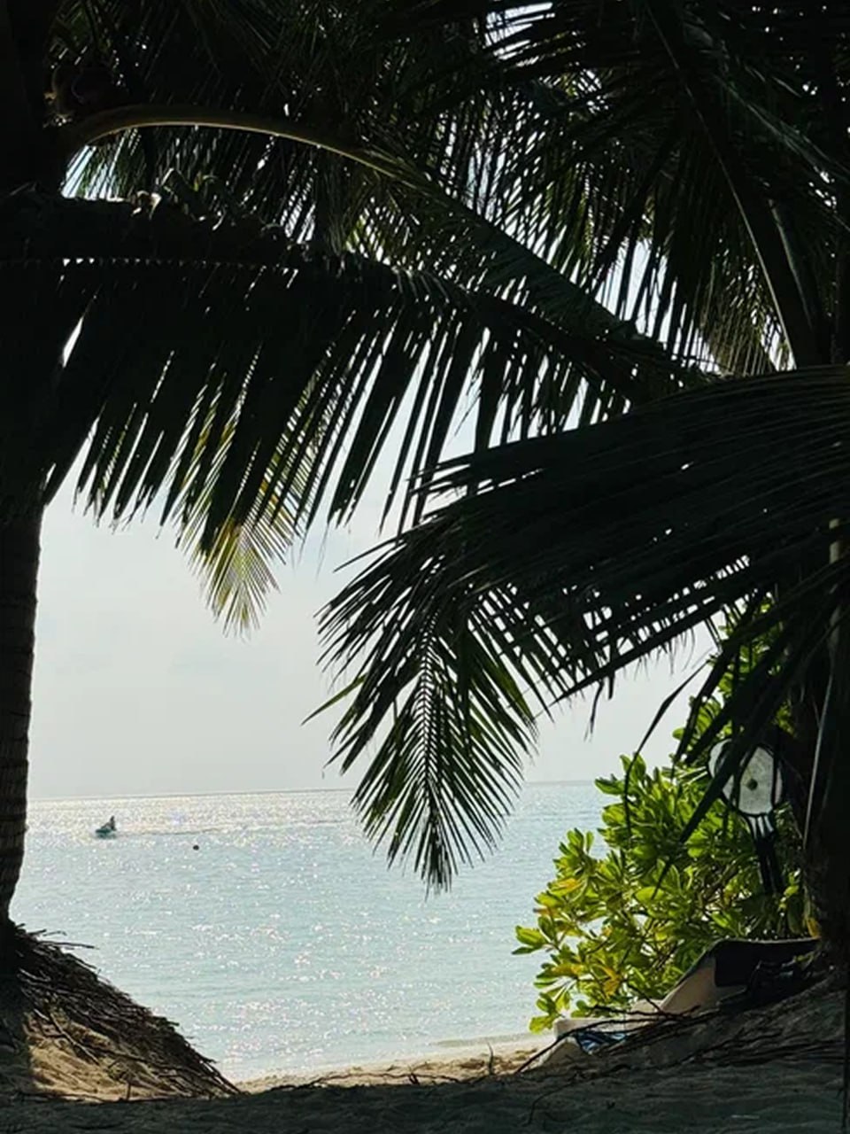 Йога тур на Мальдивы (12/30)