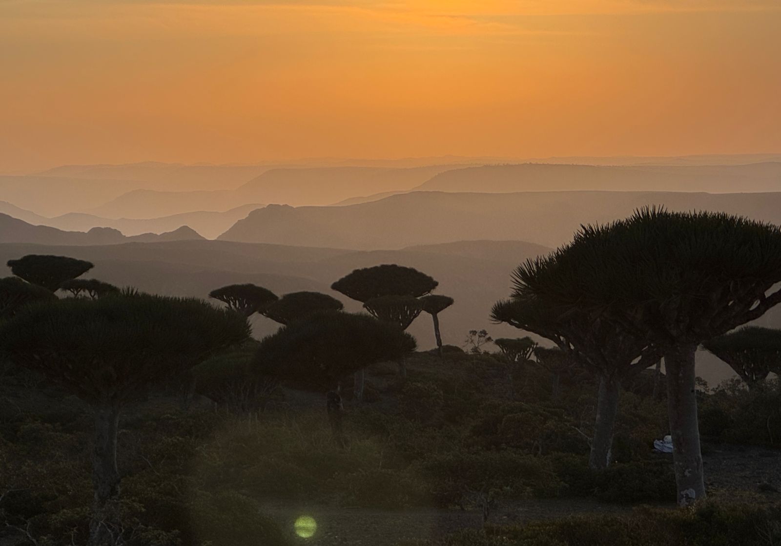 Сокотра - тур на остров блаженства (23/48)