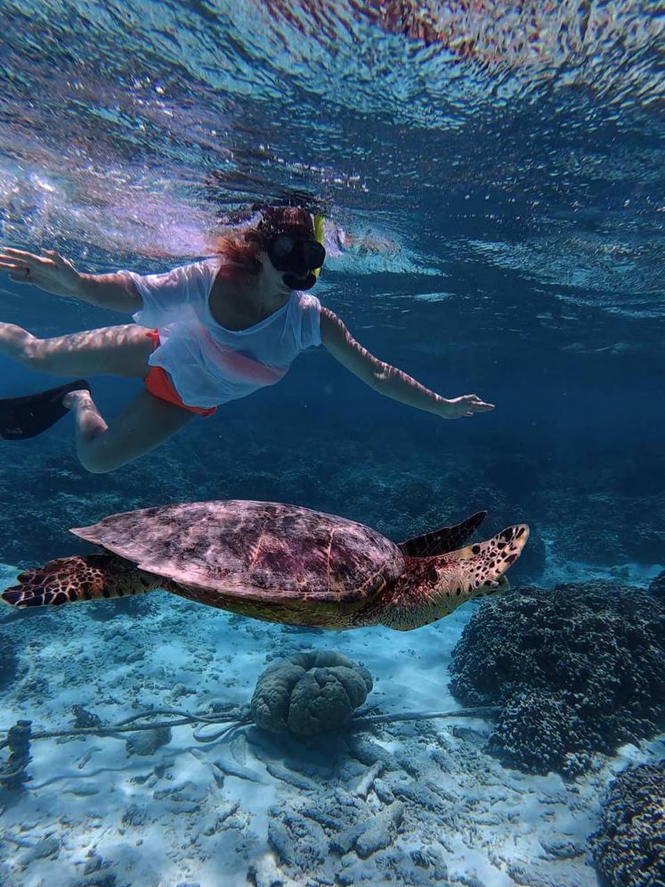 Фото тур на Мальдивах (6/28)