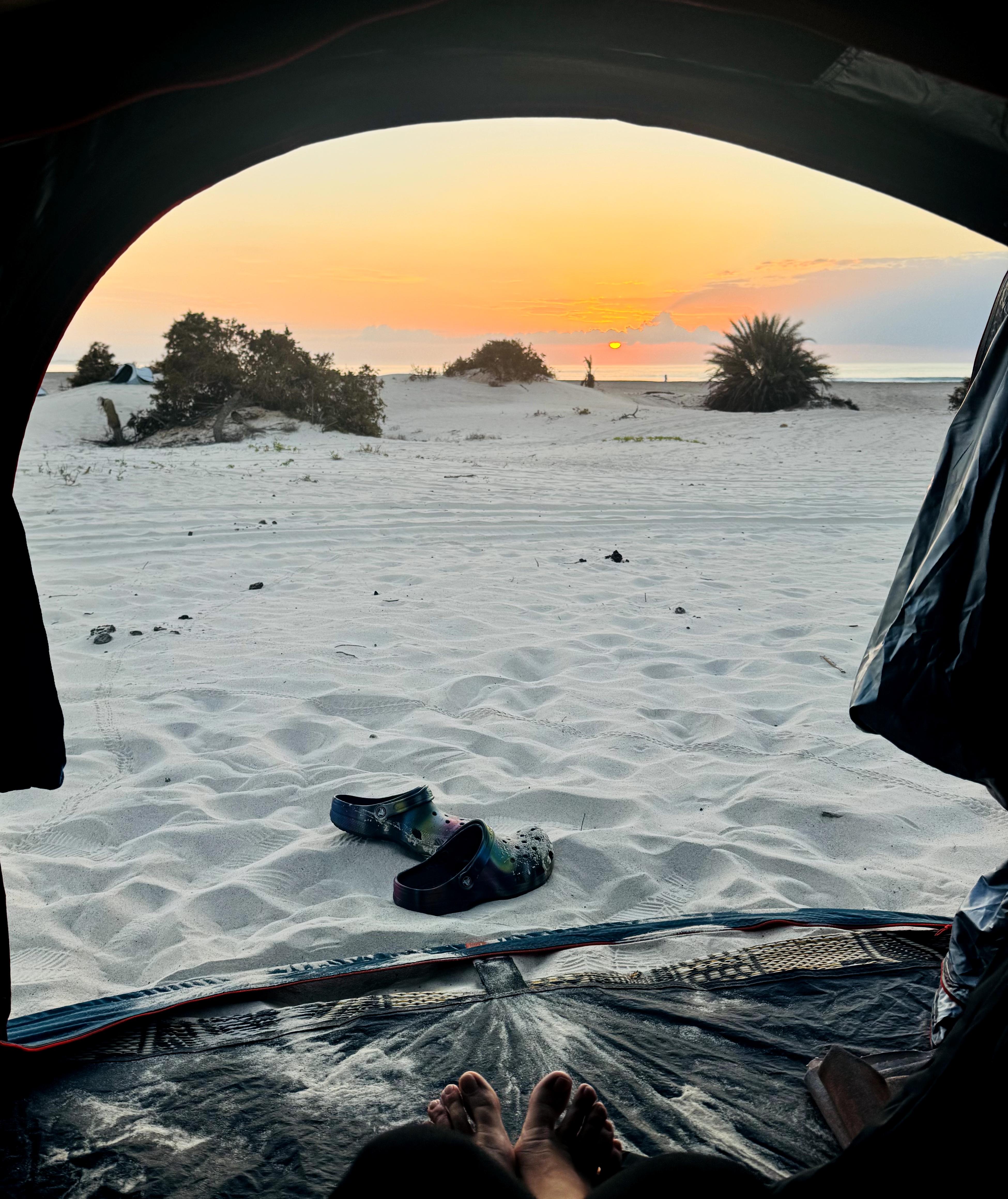 Сокотра - тур на остров блаженства (16/48)