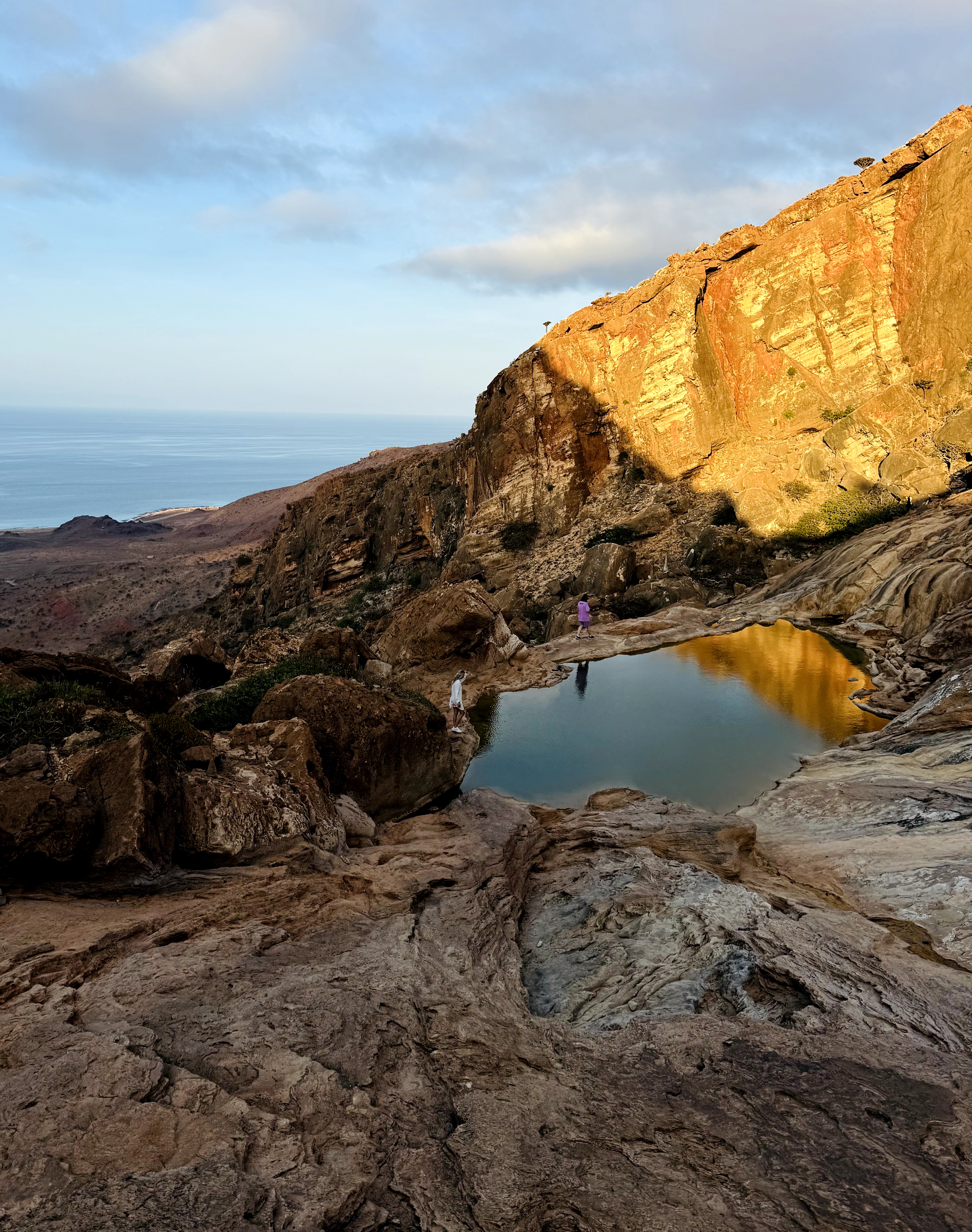 Сокотра - тур на остров блаженства (6/48)